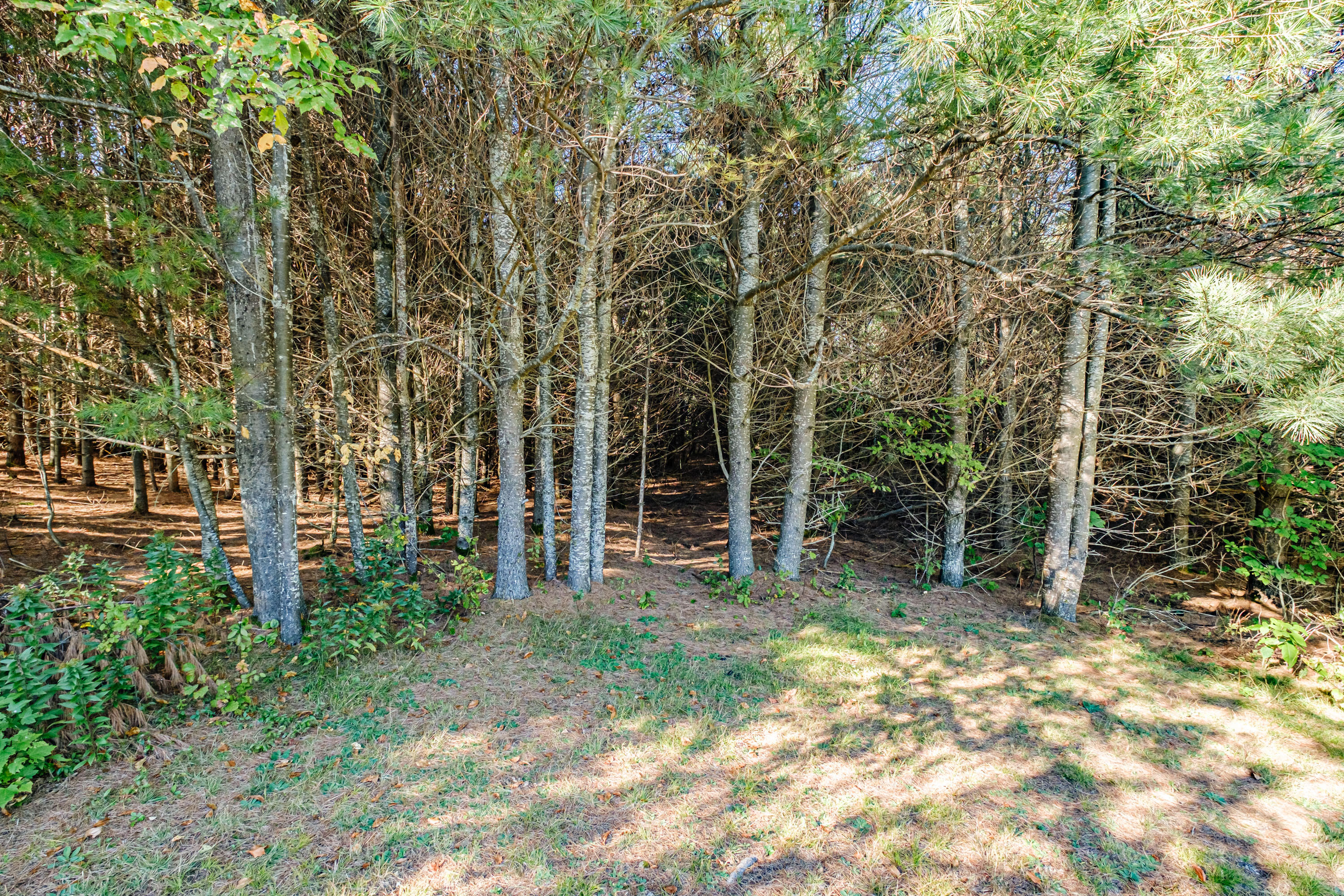 5 Meadowlark Road, Woodstock, ME, 04219-6121