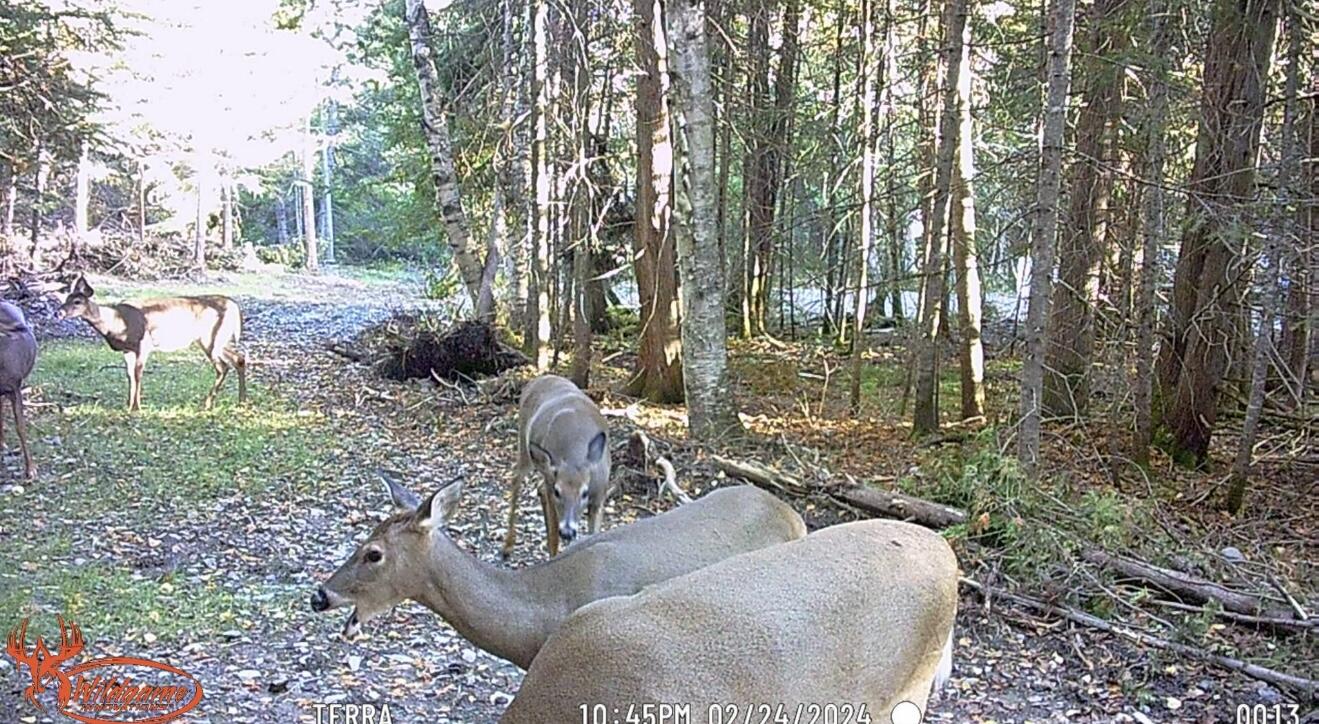 112 Sinclair Road, Sinclair, ME, 04779