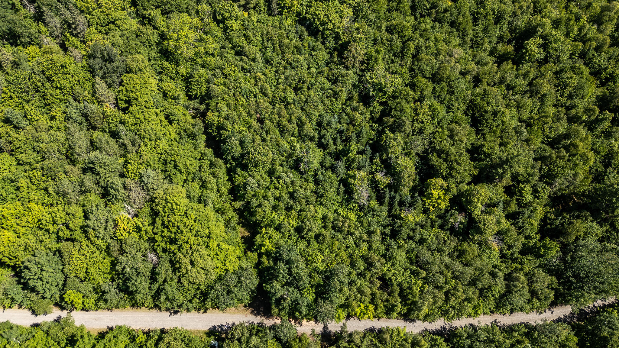 Lot 18-5 Woodland Lane, #Map 2, Brownville, ME 04414 DJI_20260720102413_0119_D