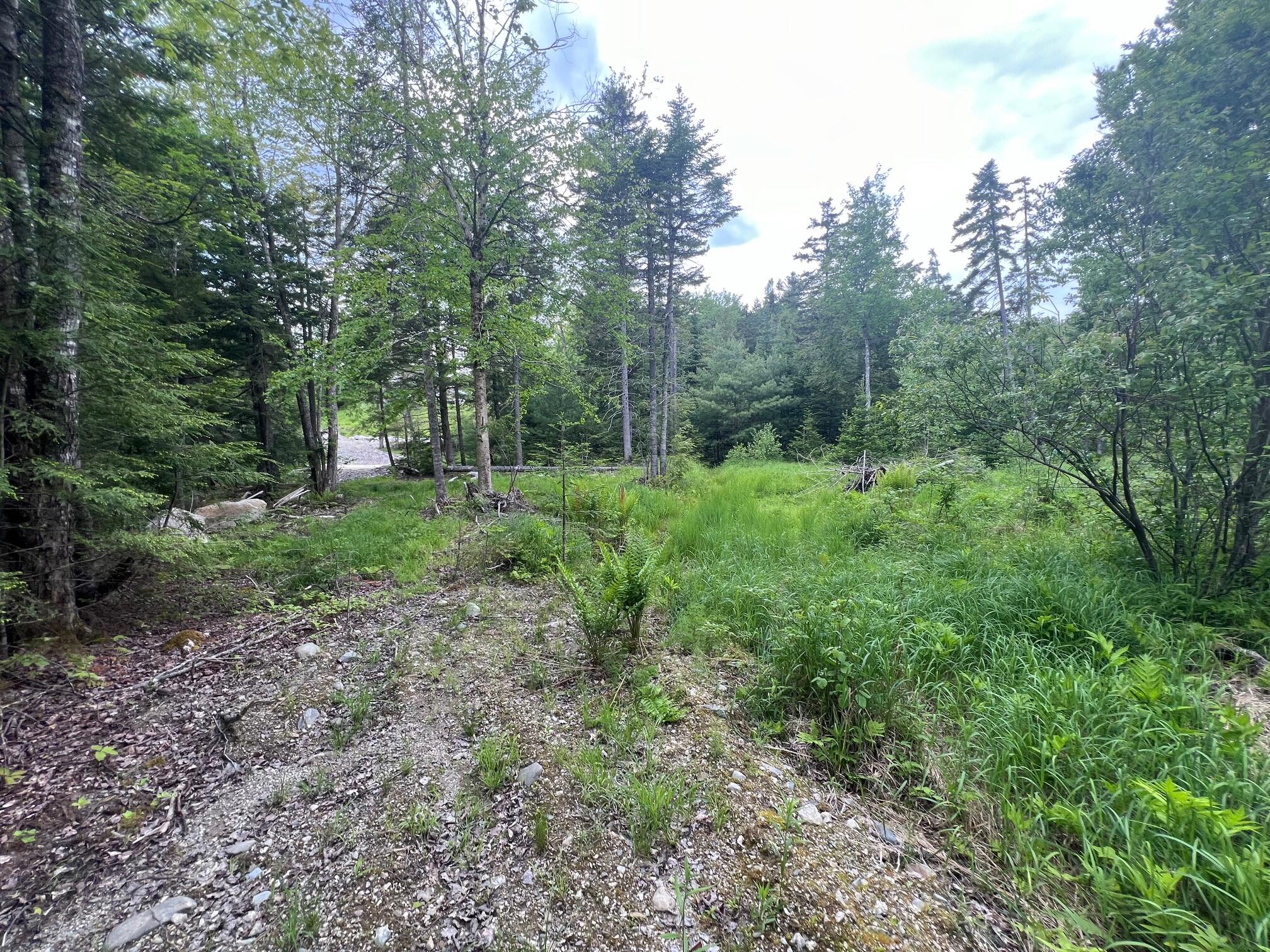 TBD Marks Mountain Way, Dedham, ME, 04429