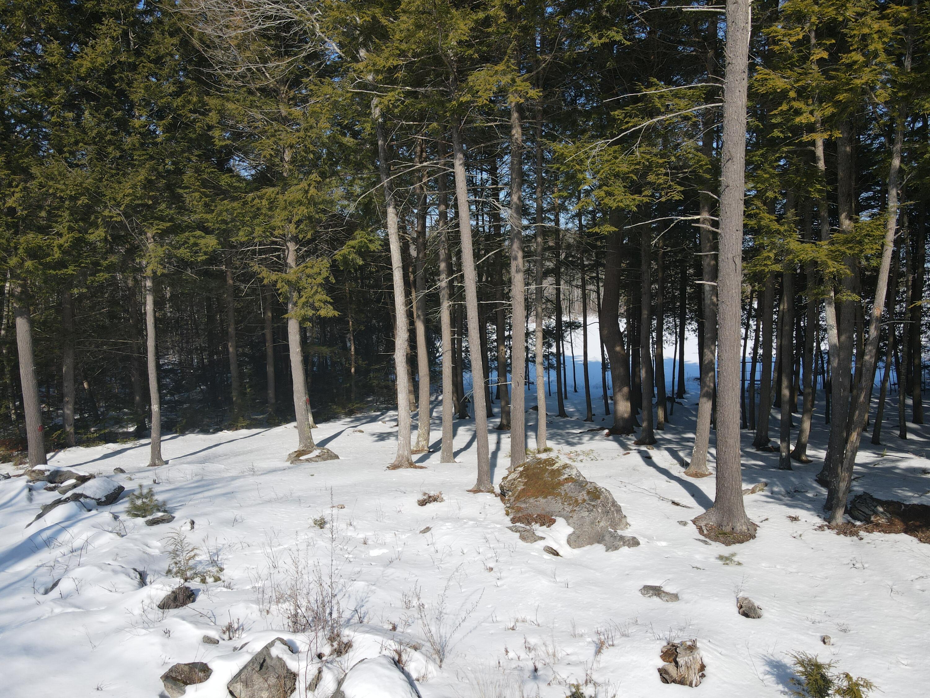 8, 20, 24, & 46 Martins Lane, Glenburn, ME, 04401