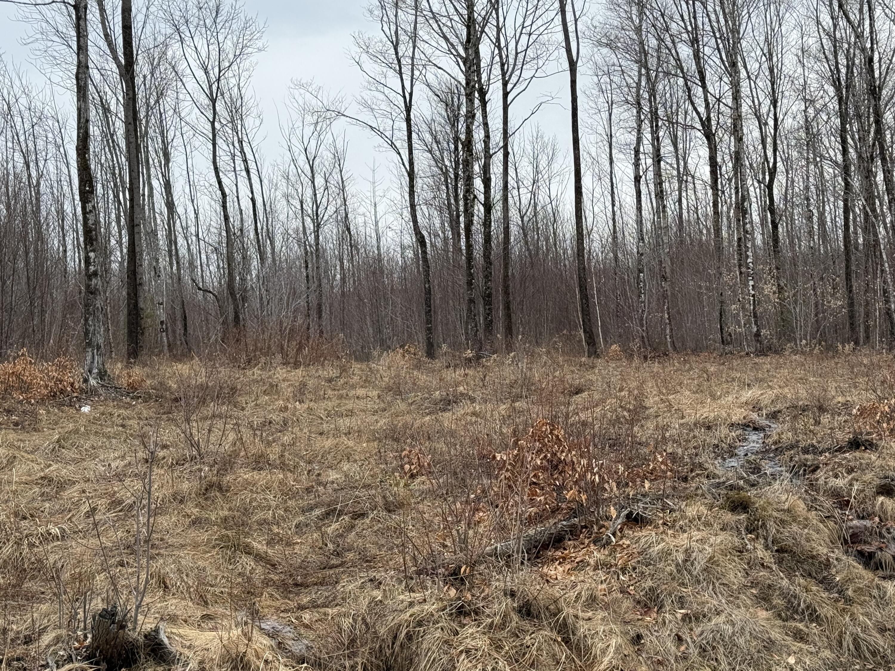 Lot 13W Mountain View Drive, Temple, ME, 04984