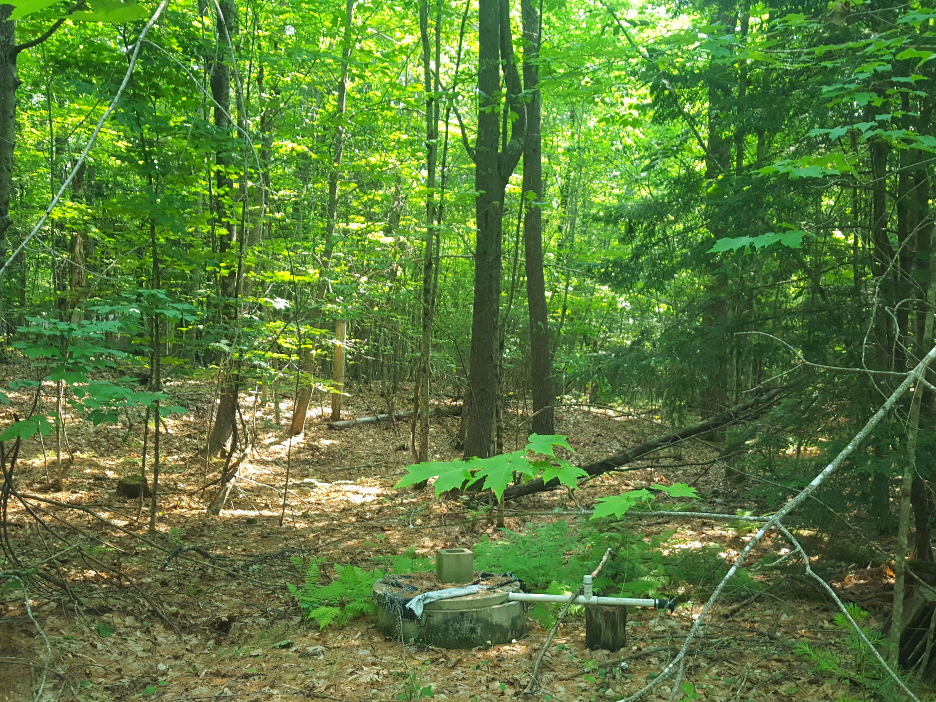 594 River Road Road, Windham, ME, 04062