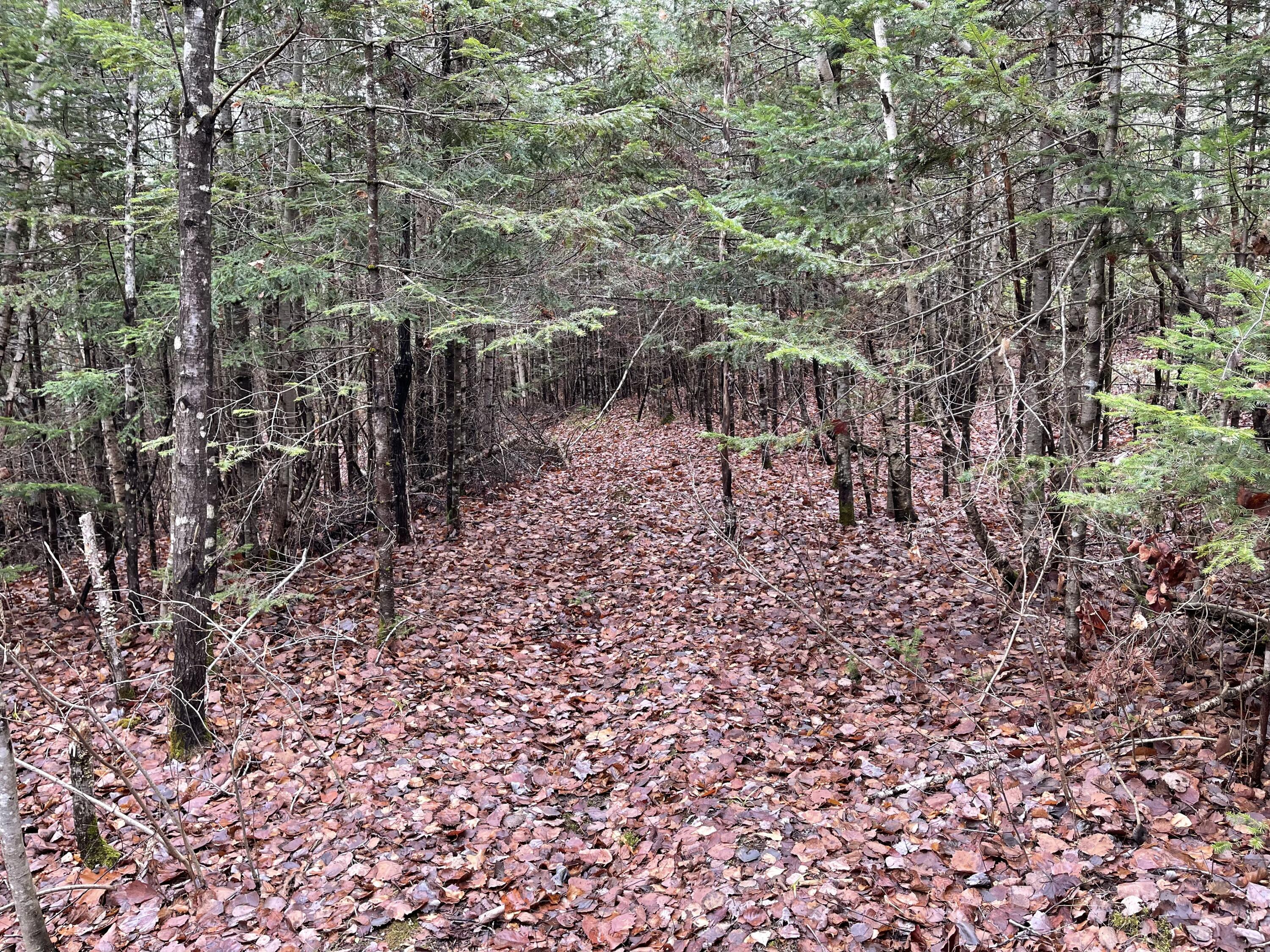 194 E Gulch Road, Thorndike, ME, 04986