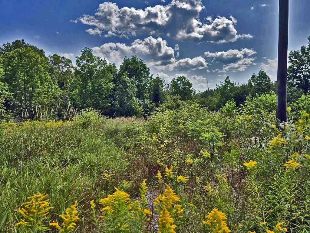 1020 County Road, New Limerick, ME, 04761