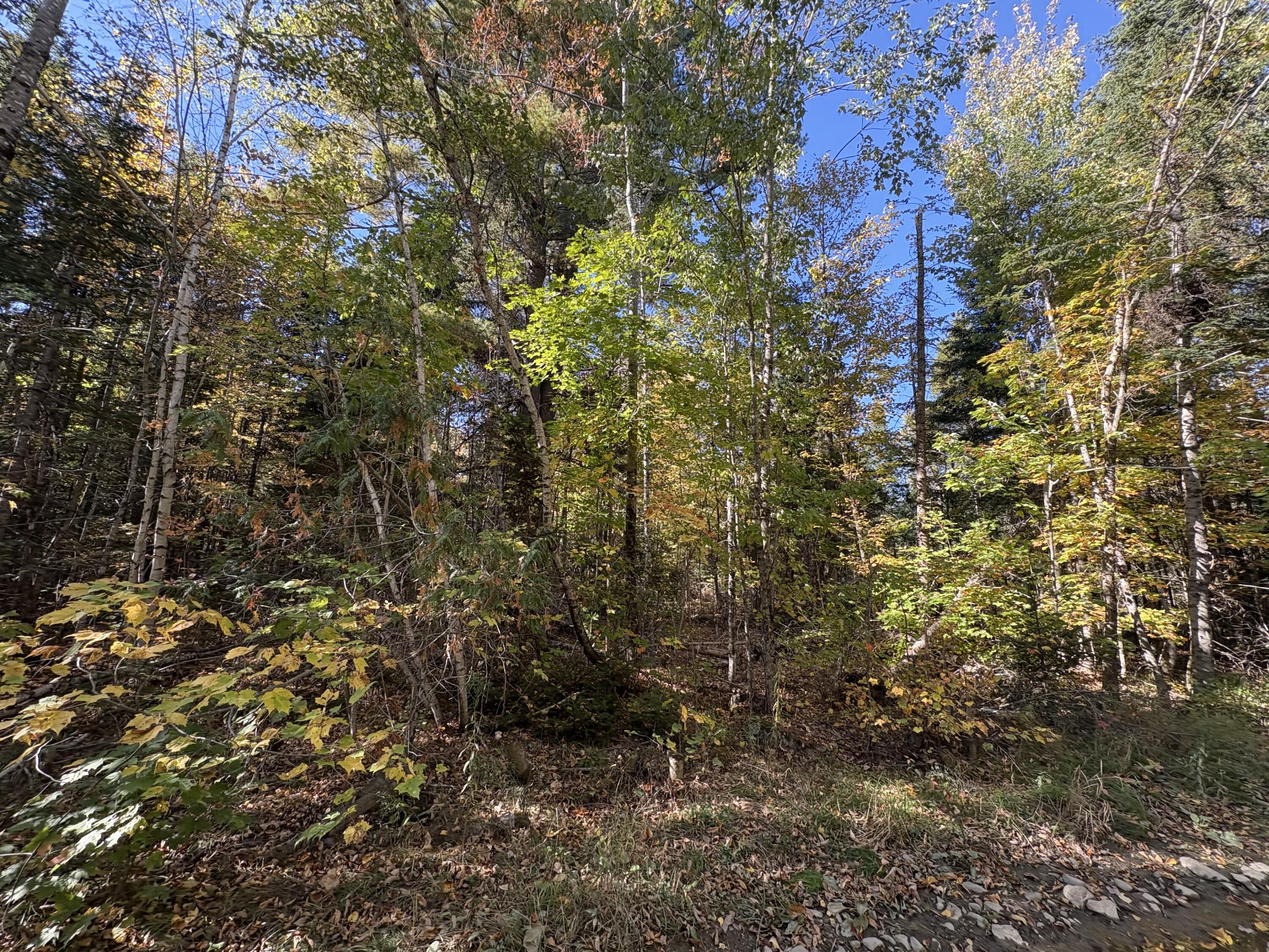 Map1Lot1 Rutland Road, Plymouth, ME, 04969