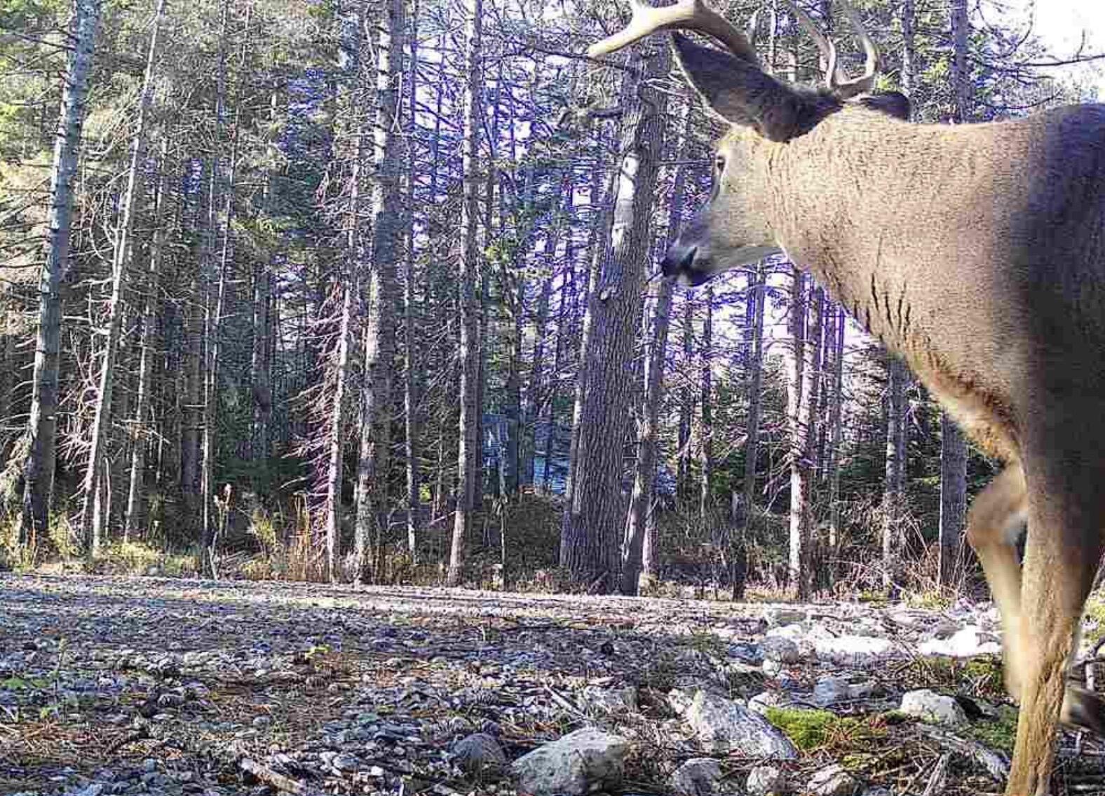 774 Spruce Head Road, Saint George, ME, 04858