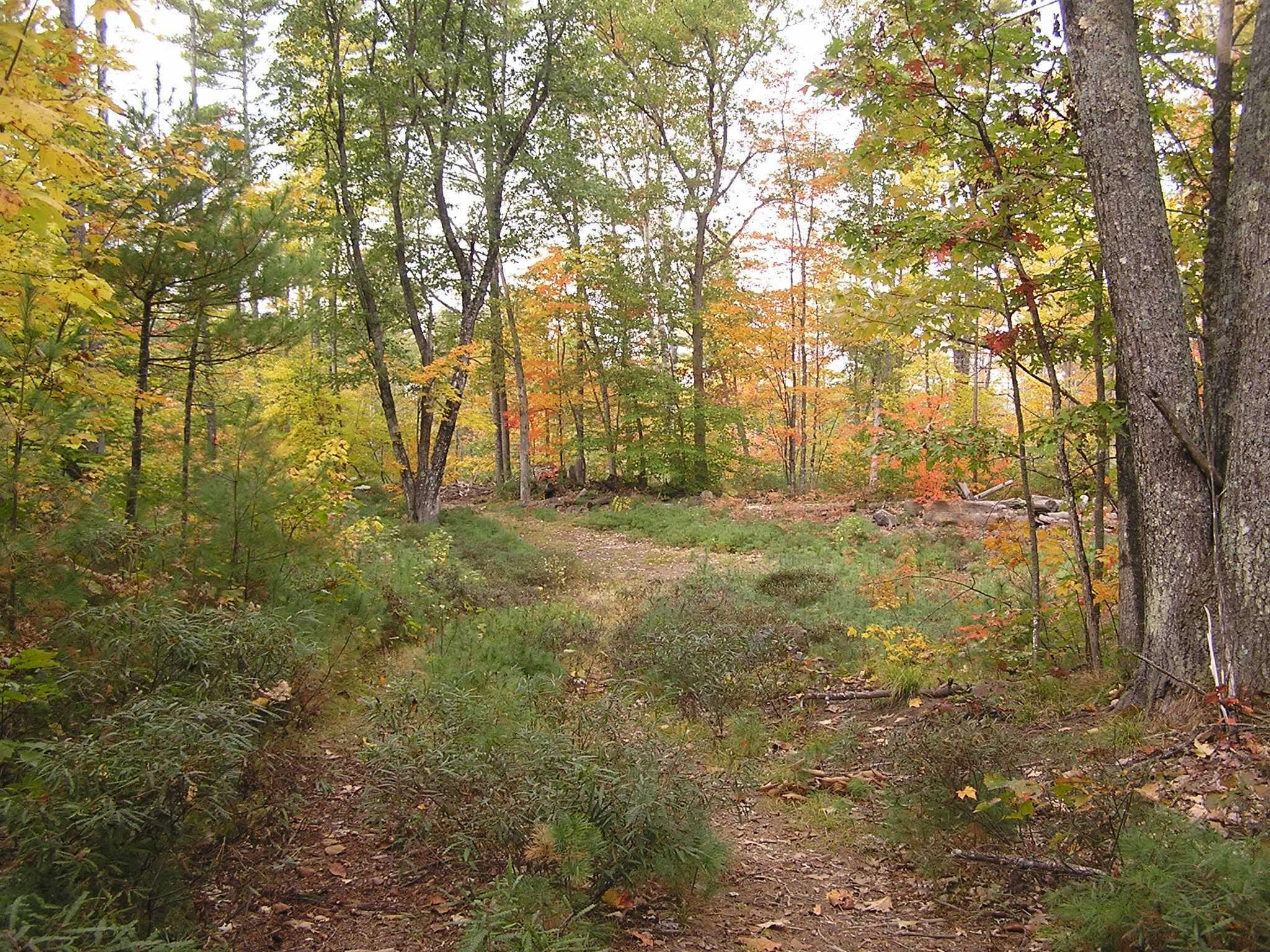 62-B Long Pond Drive, Denmark, ME, 04022