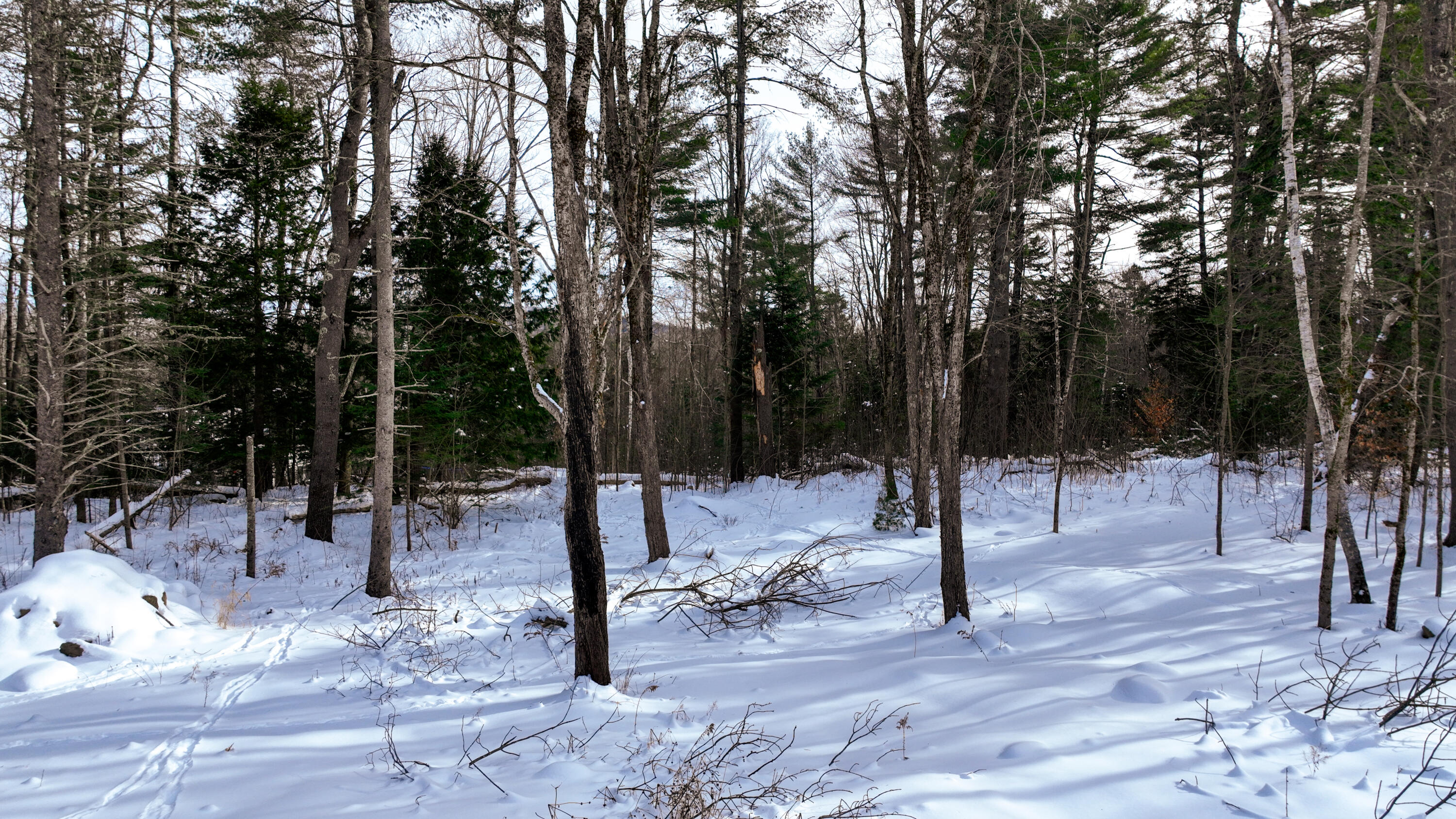 20 Skyscraper Hill Road, Brooks, ME, 04921