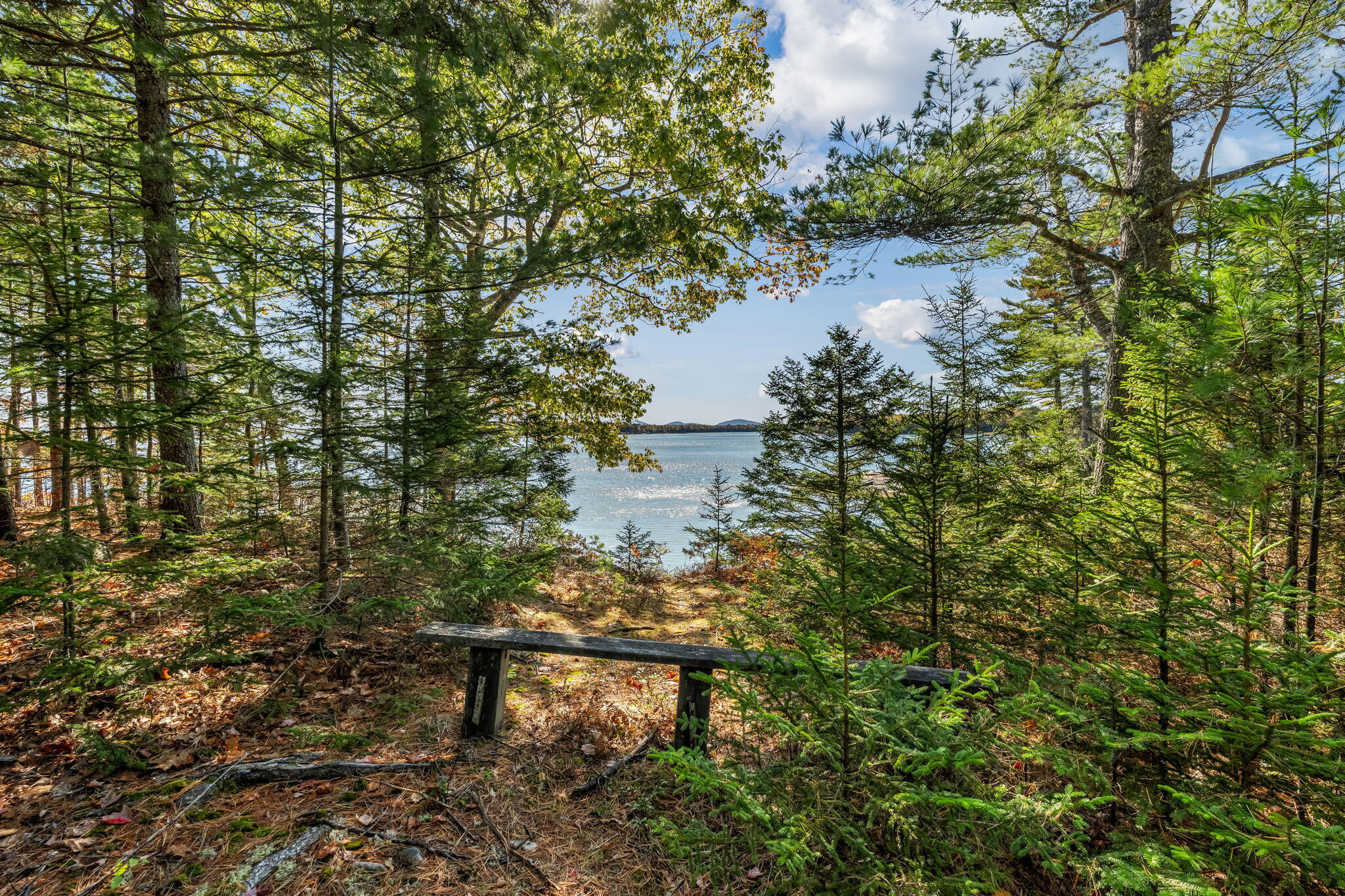 82 Falcon Lane, Lamoine, ME, 04605