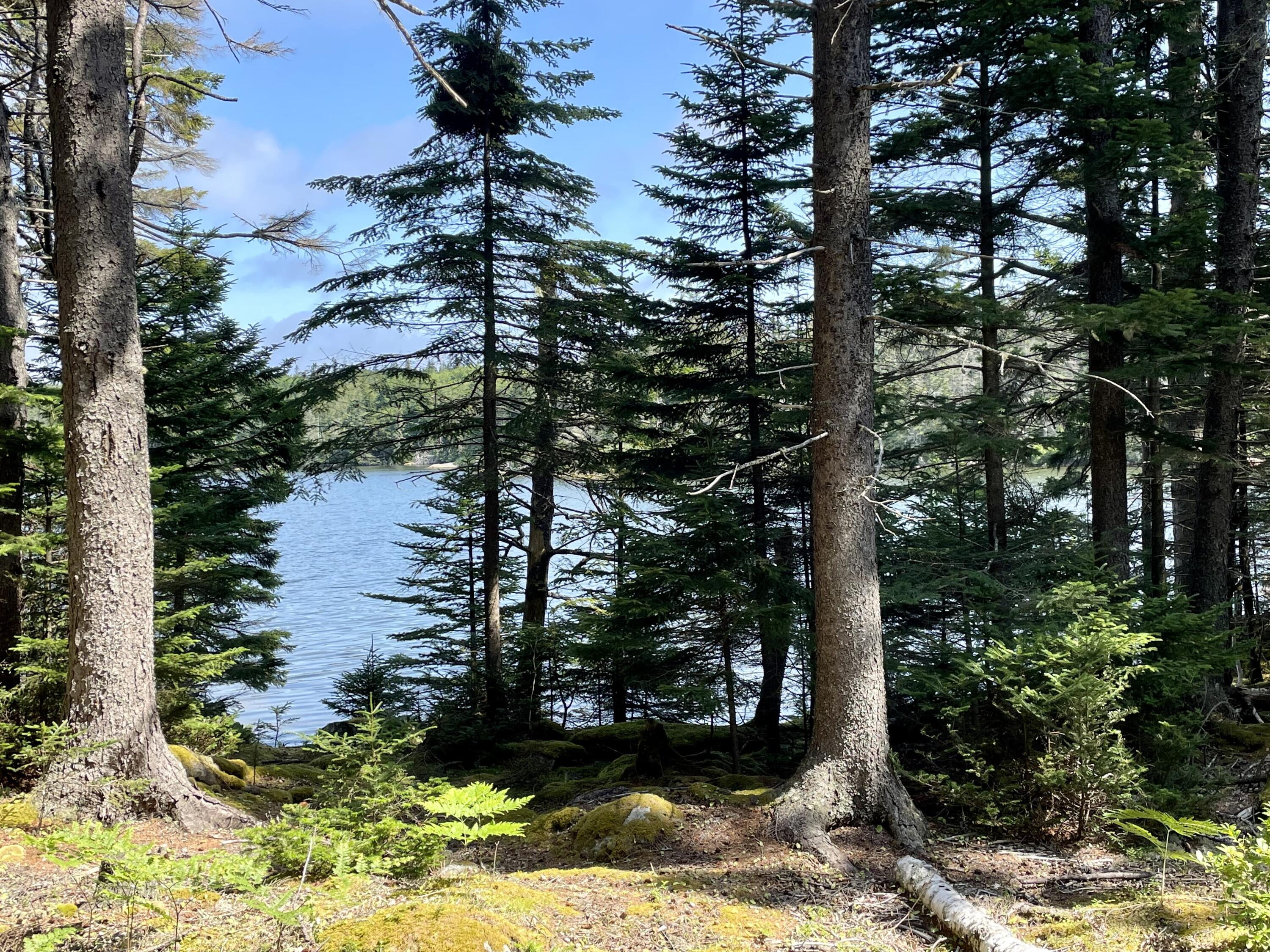 0A Old Harbor Road, Vinalhaven, ME, 04863