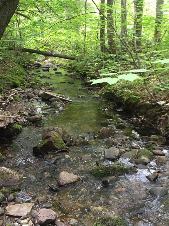0 Richardson Hollow & Young Hill Road, Greenwood, ME, 04255