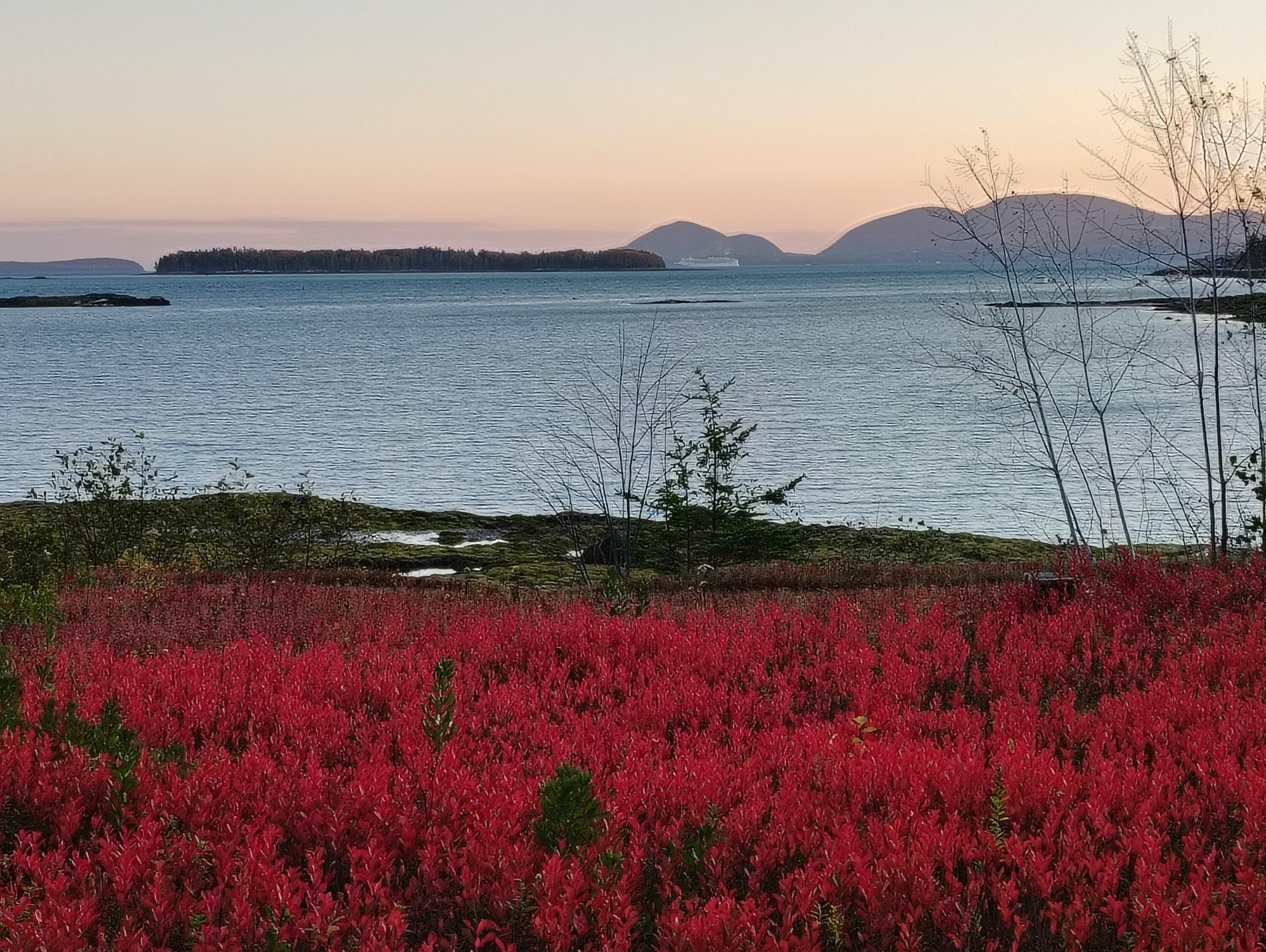 103 Gull Rock Road, Hancock, ME, 04640