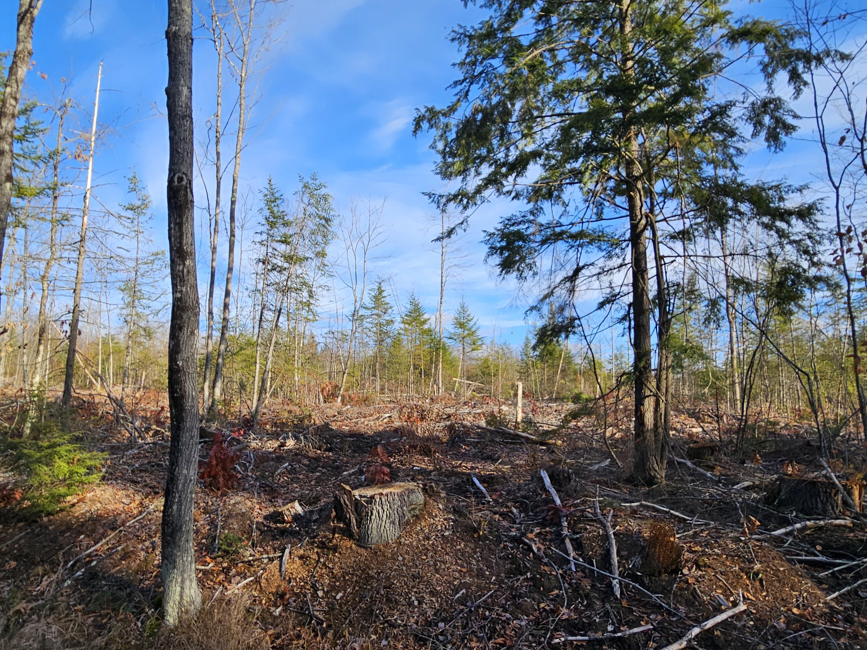 M-3 L-33-5 Cape Cod Hill Road, New Sharon, ME, 04955