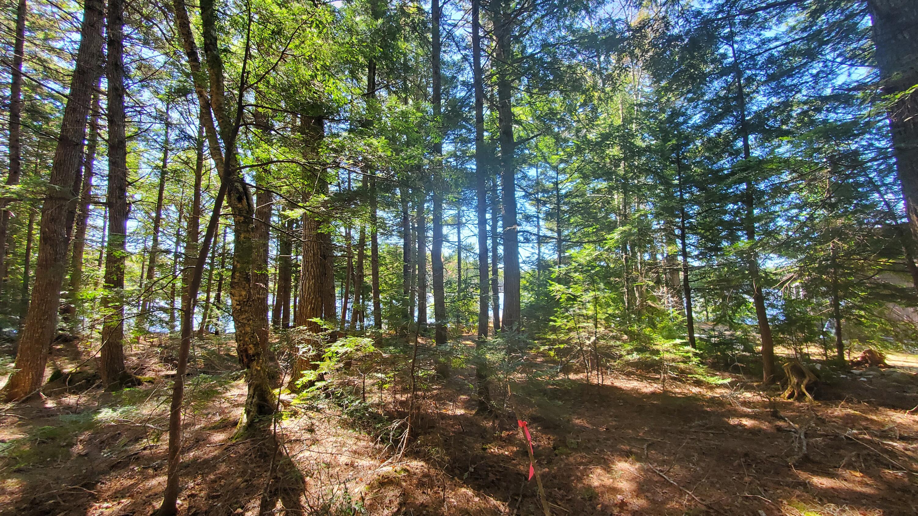 307 Lakeville Shores Road, Lakeville, ME, 04487