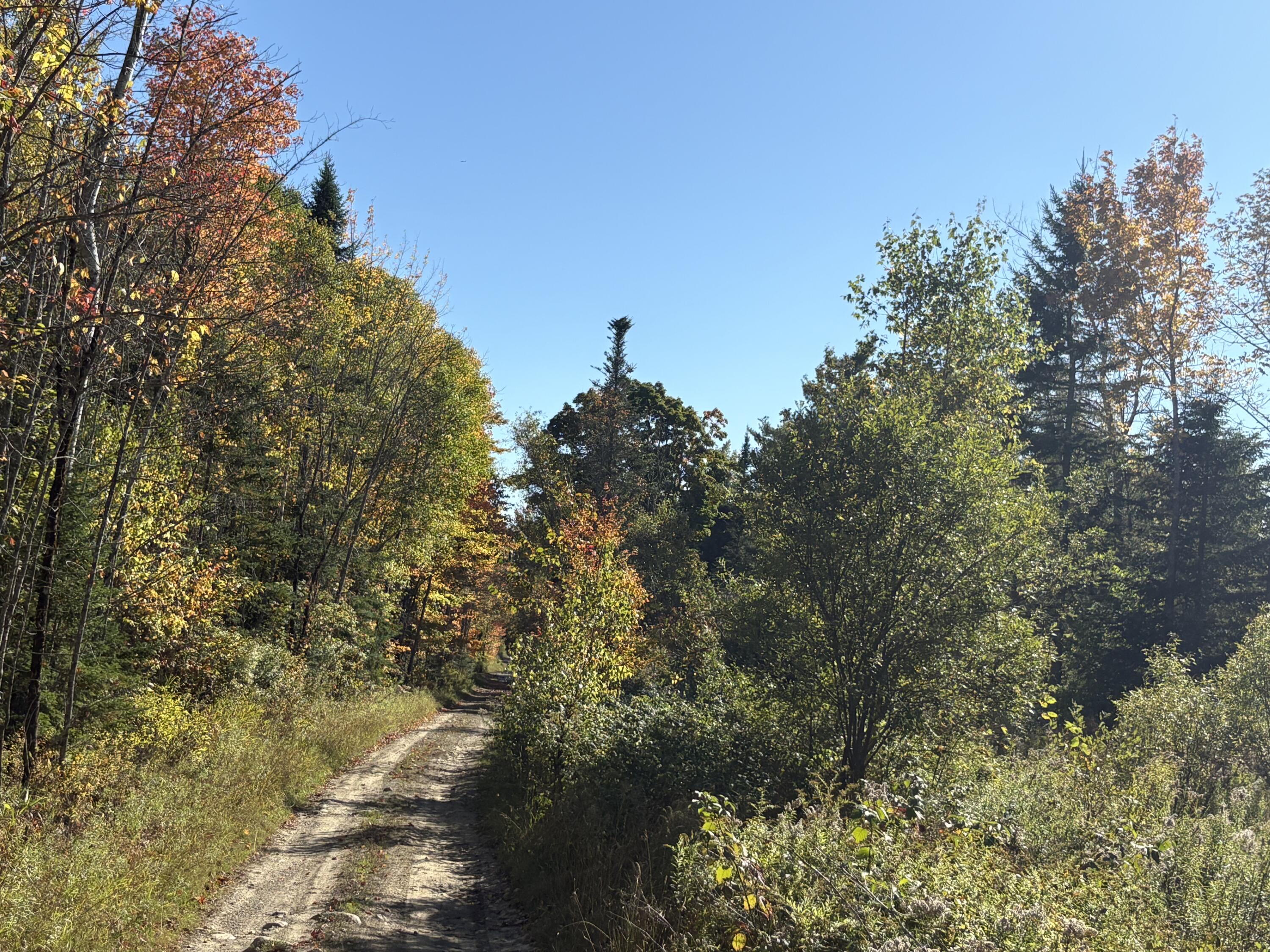 Map1Lot1 Rutland Road, Plymouth, ME, 04969