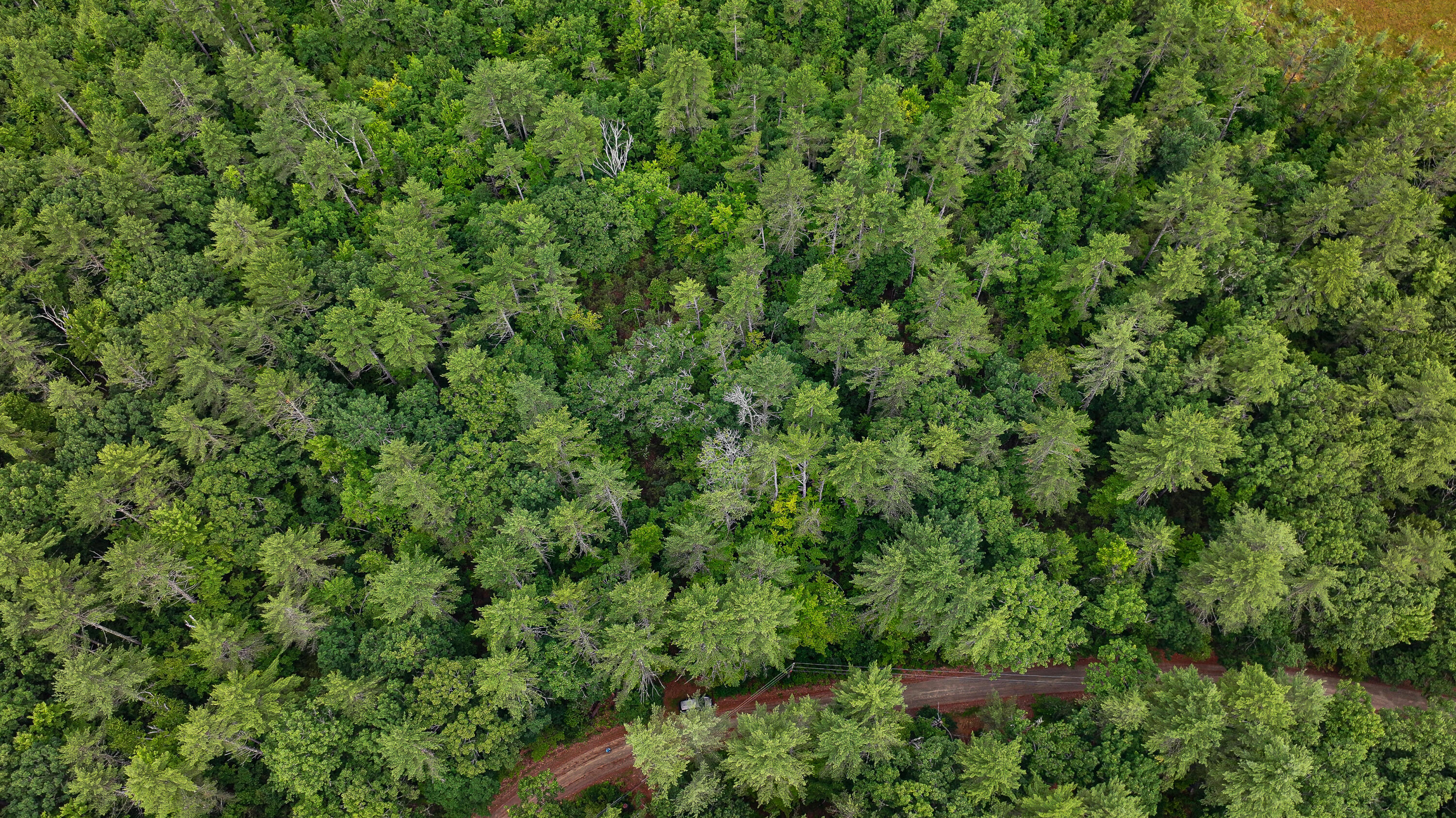 62-B Long Pond Drive, Denmark, ME, 04022