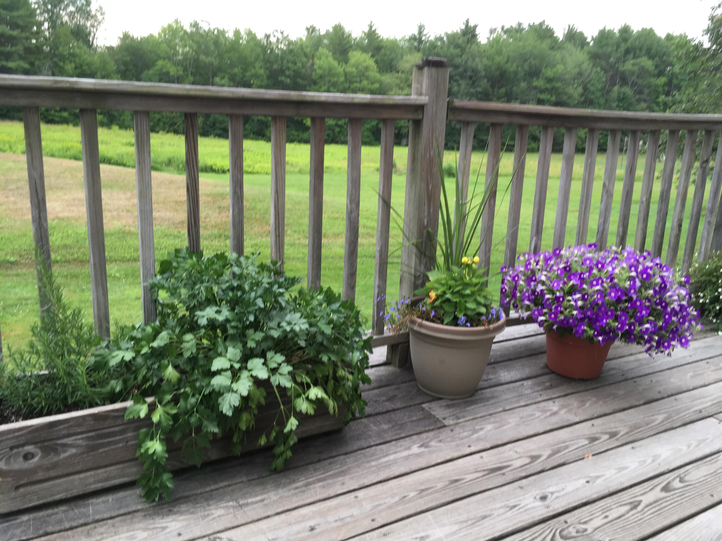 482 Back Road, Shapleigh, ME, 04076