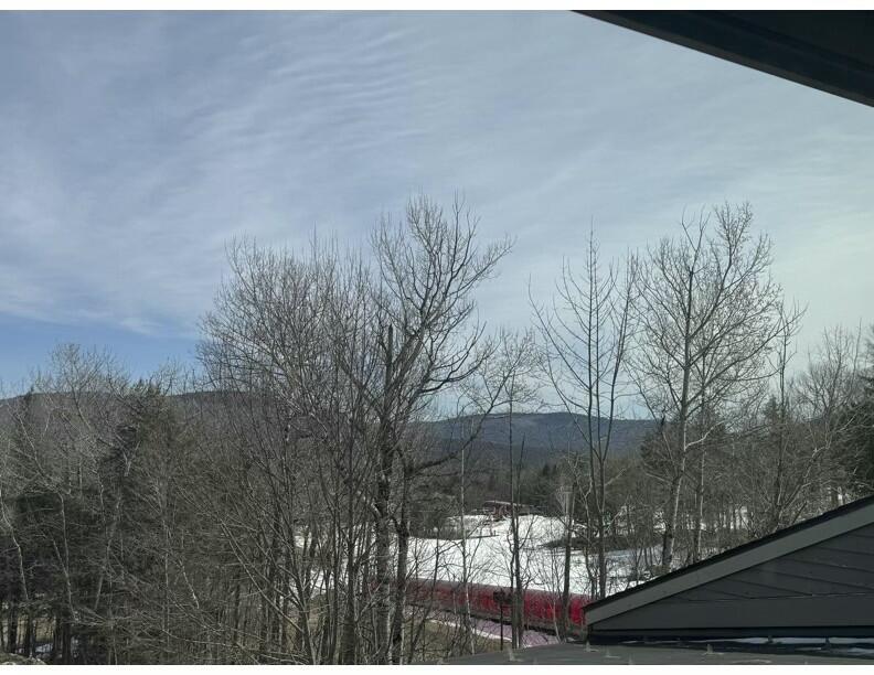 8 Fall Line Drive UNIT S-214, Newry, ME, 04261