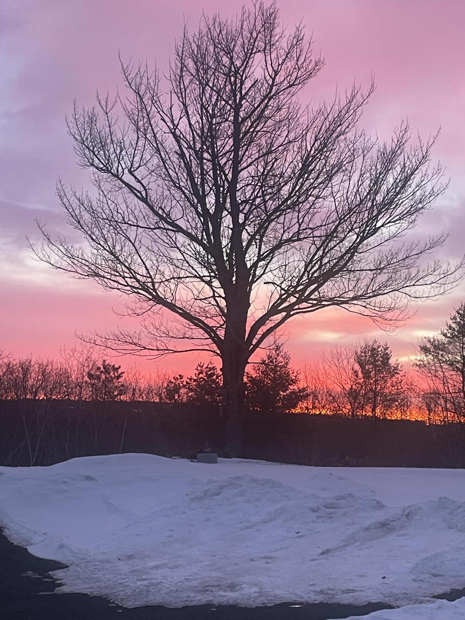 35 Pierce Road, Oxford, ME, 04270