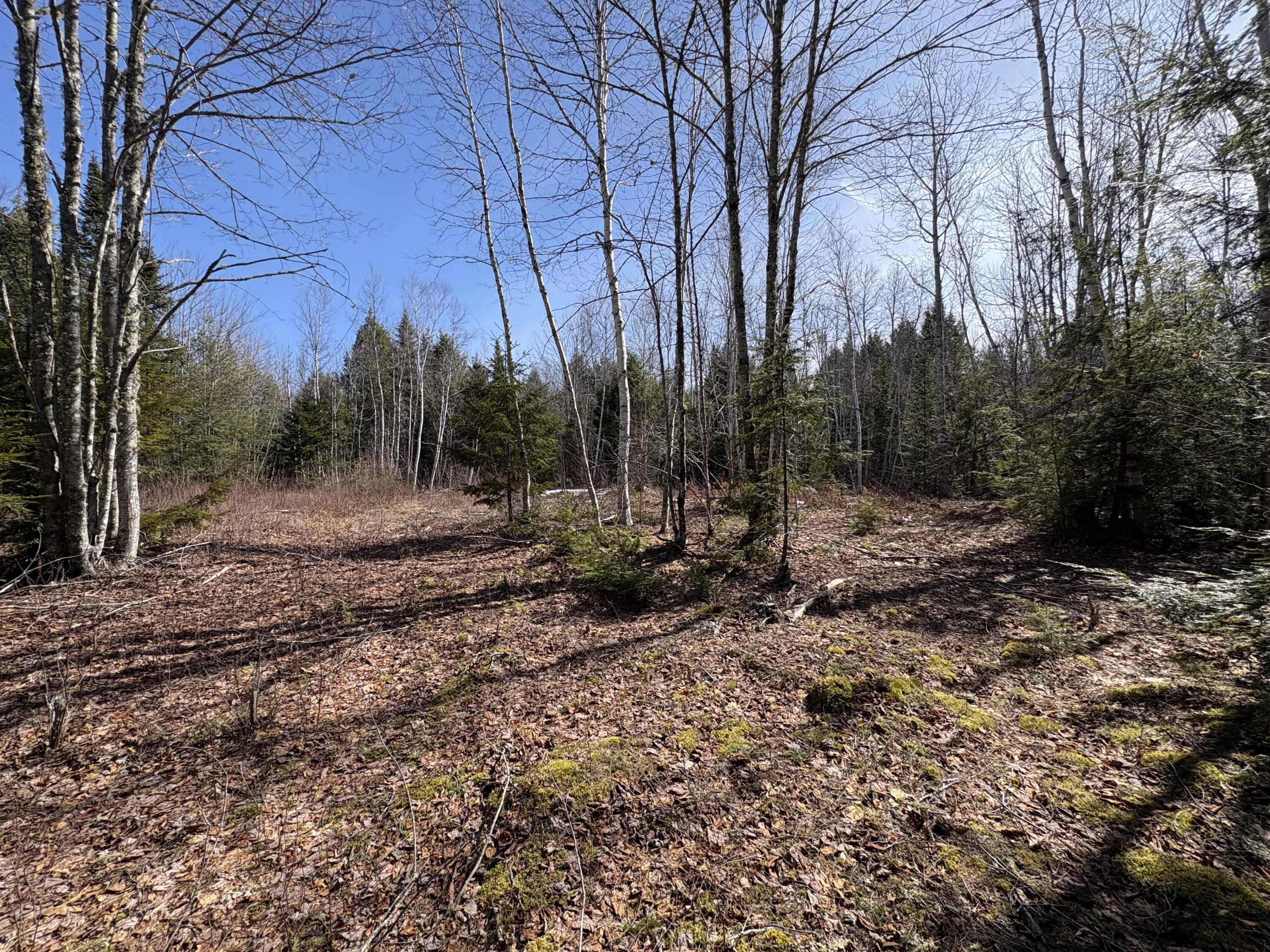 Lot 116 Bass Overlook, Waltham, ME, 04605