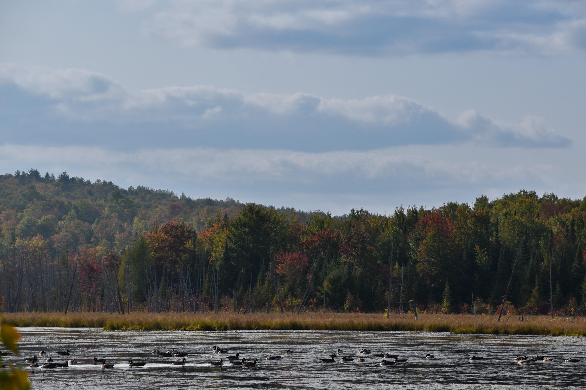 54 Carver Road, Milo, ME, 04463