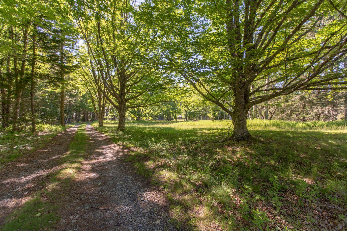Lot 001 Sheephead Island, Deer Isle, ME, 04627
