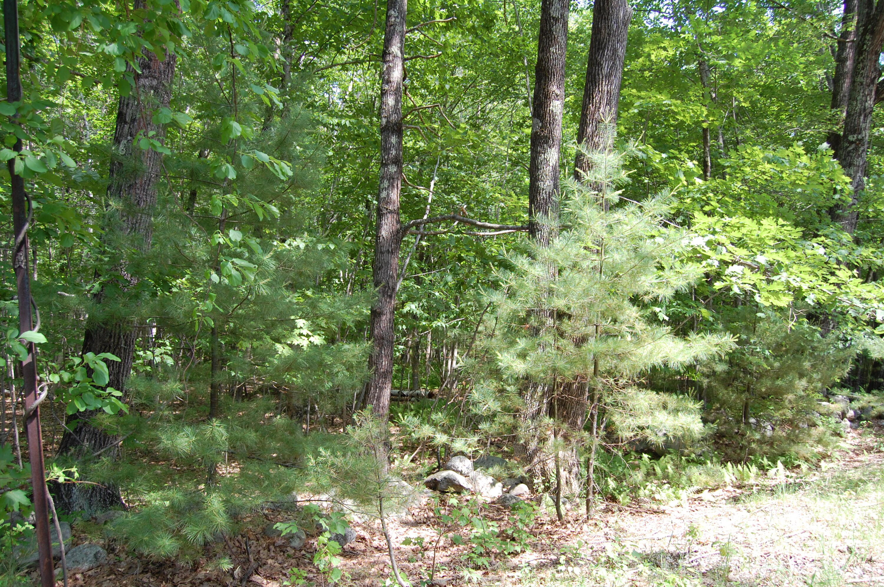 0 New Gloucester Road, North Yarmouth, ME, 04097