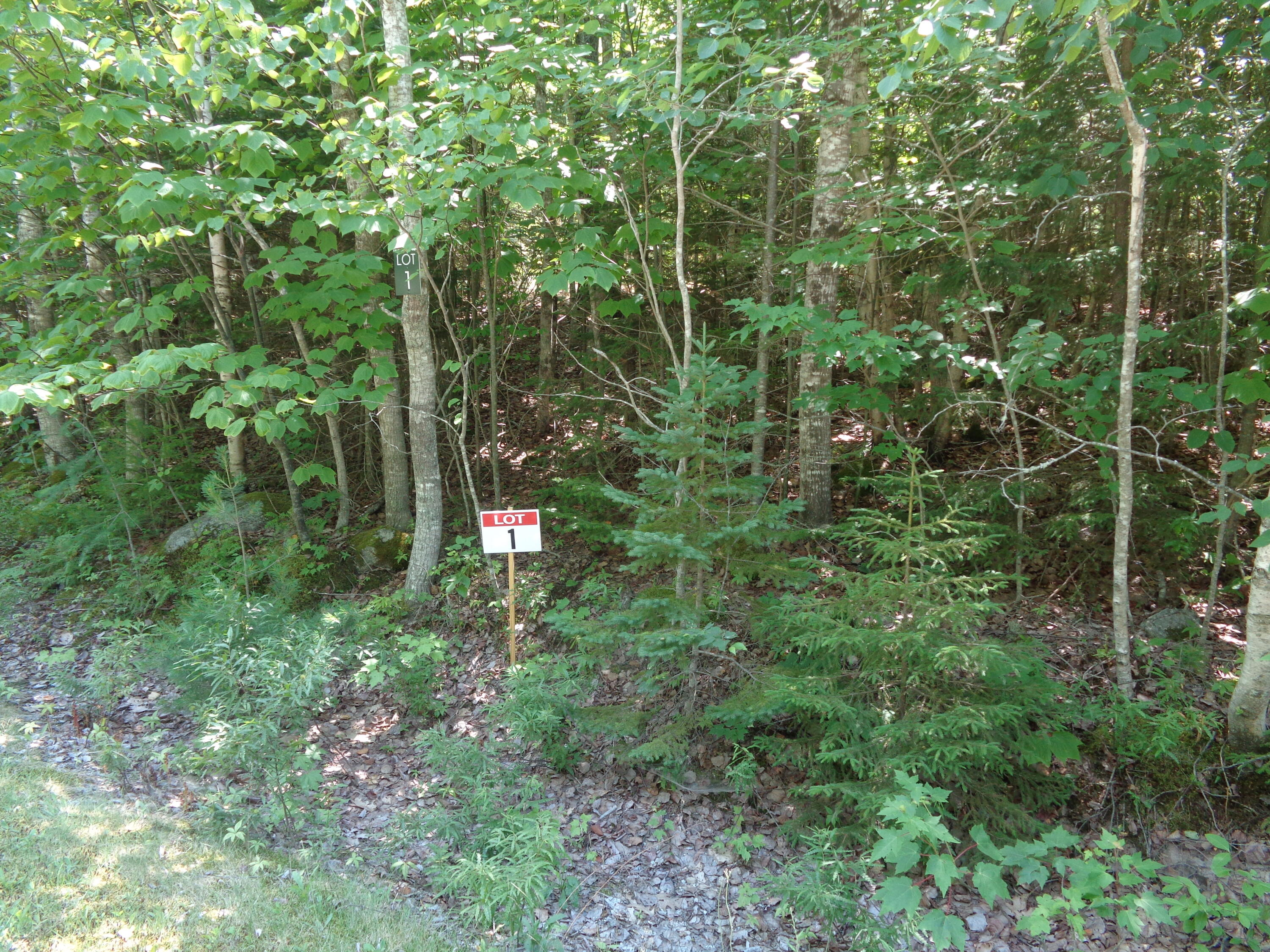 Photo of Lot 1 Bailey Mountain Road Franklin ME 04634
