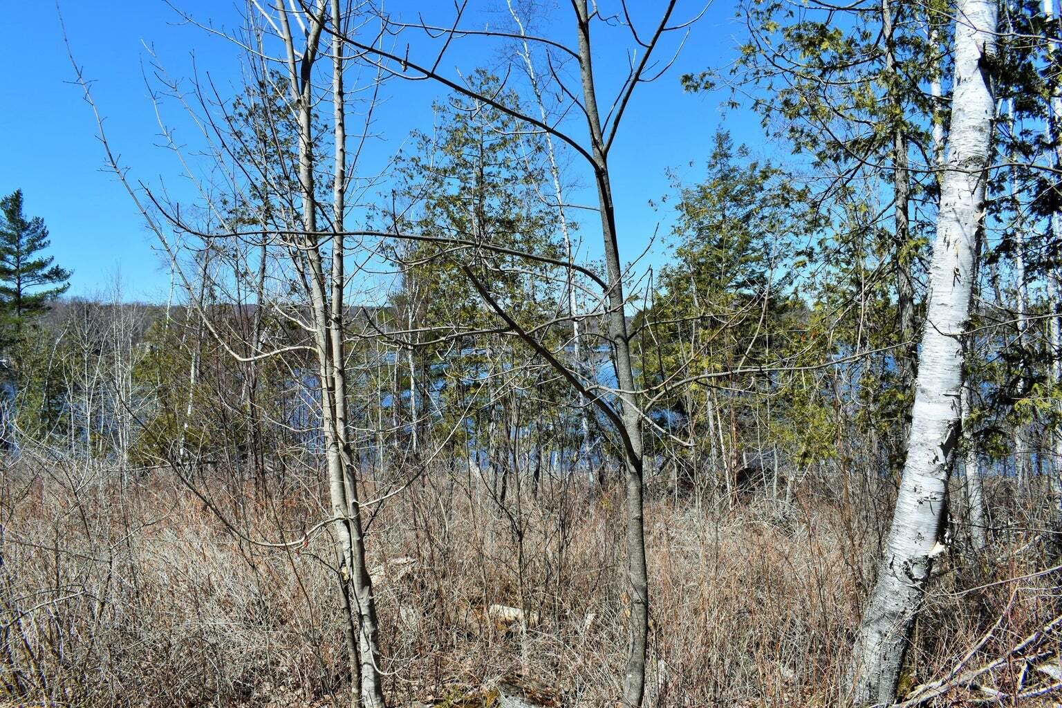 PO72,P090 Cotta Lane & RT 43, Saint Albans, ME, 04971