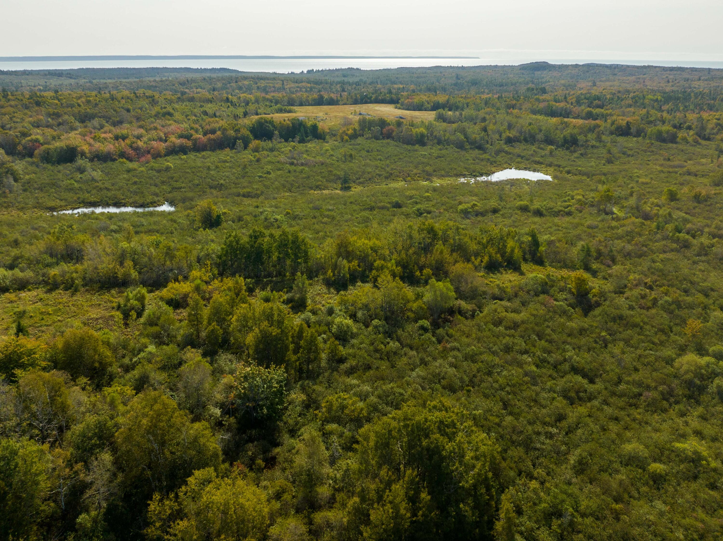 117 Denbow Road, Lubec, ME, 04652