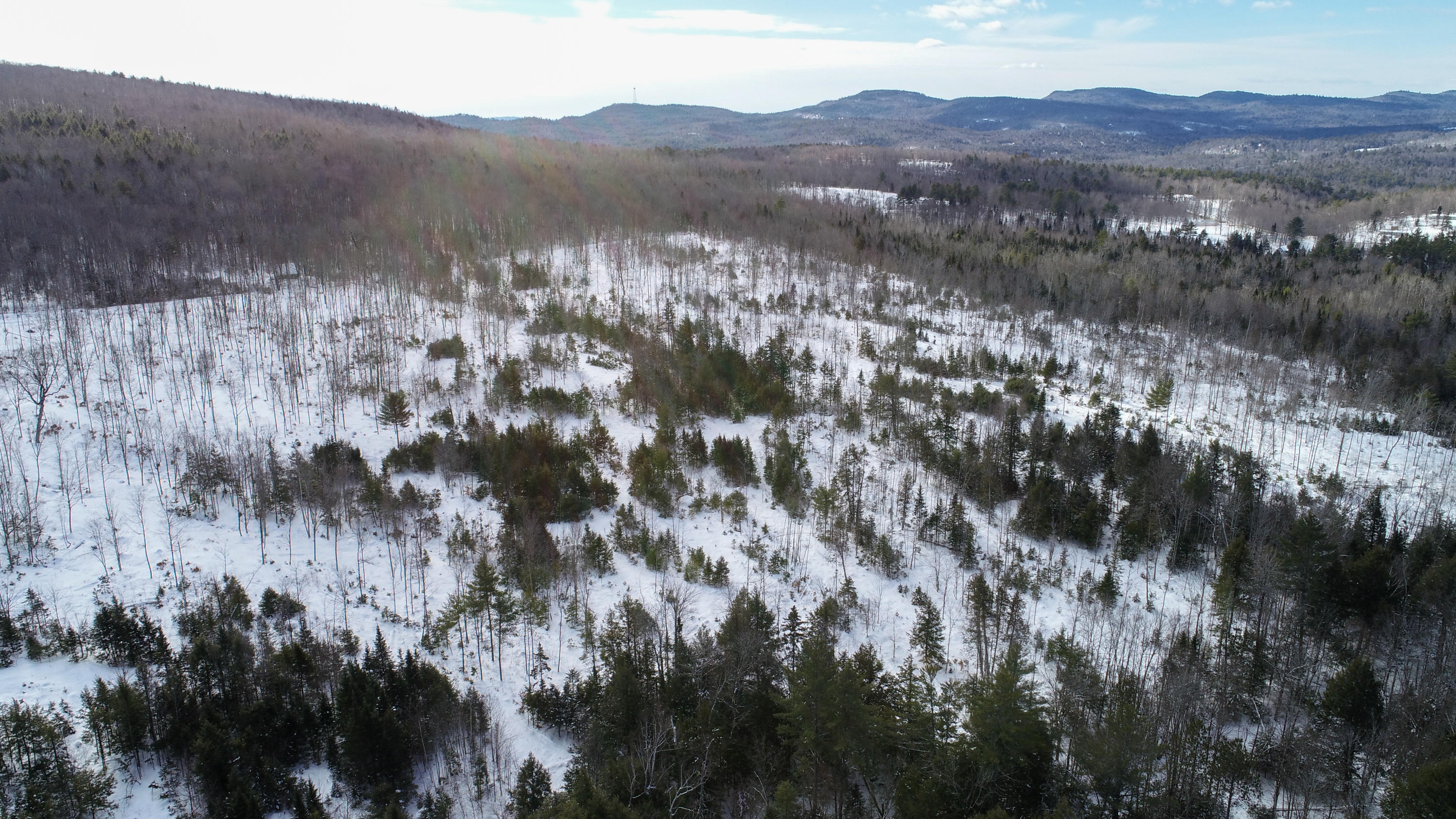 Tbd Black Brook Road, Woodstock, ME, 04219