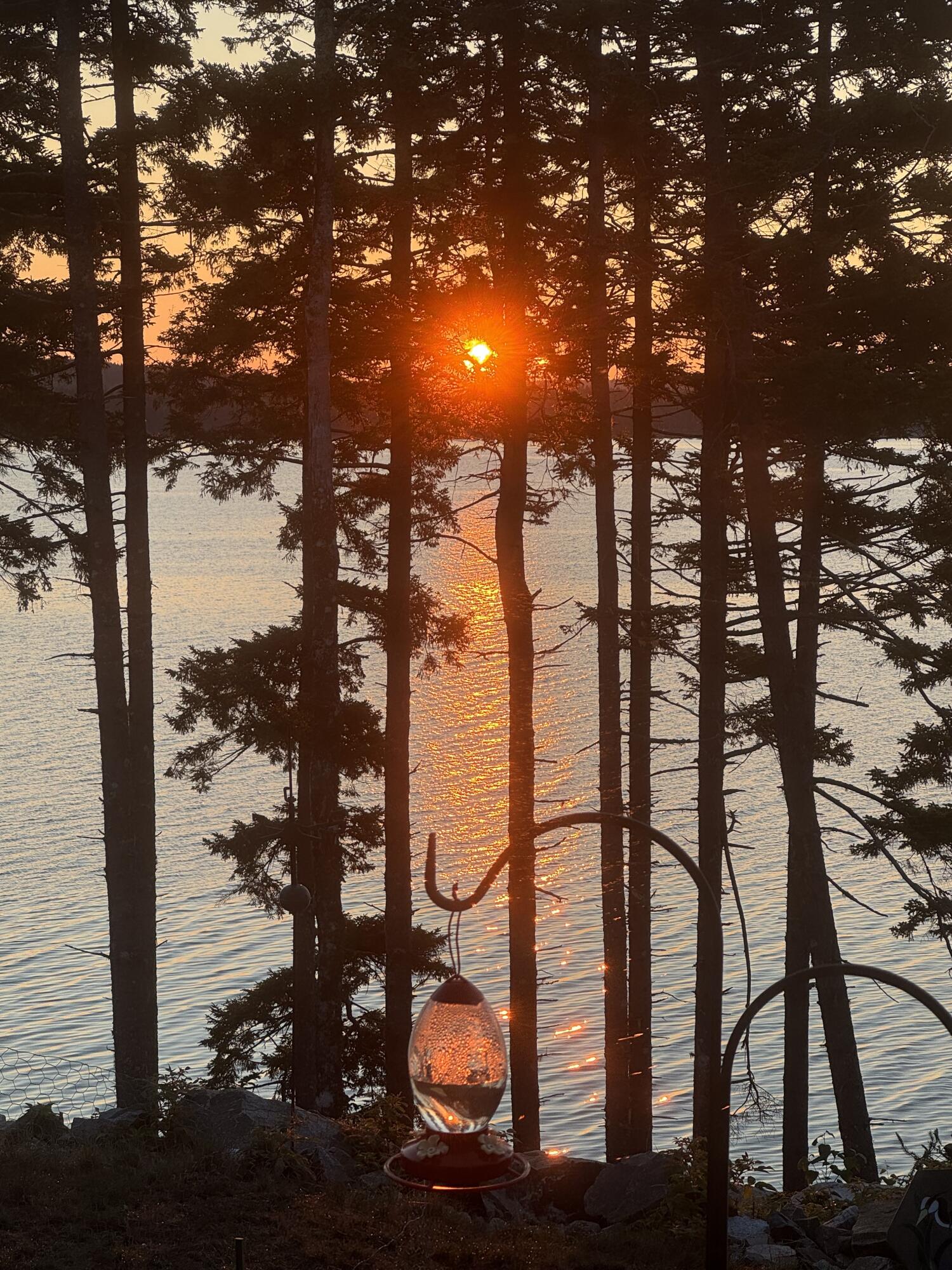 49 Peninsula Shores Road, Gouldsboro, ME, 04624