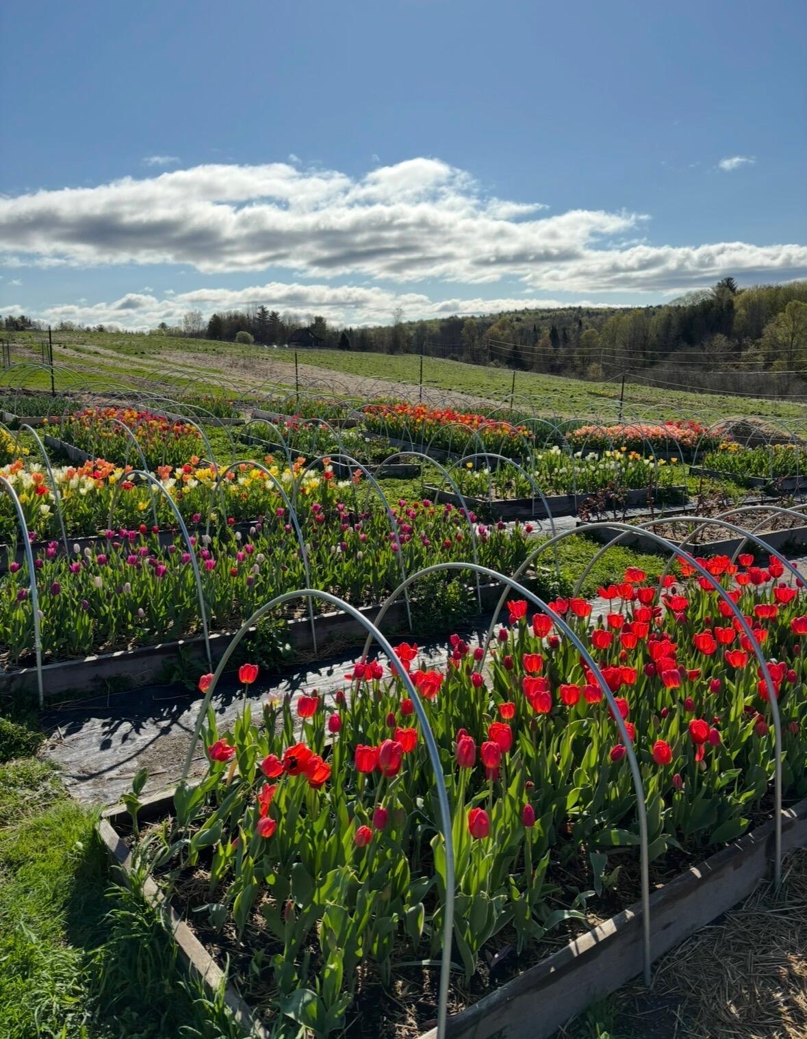 68 Pullen Road, Dexter, ME, 04930