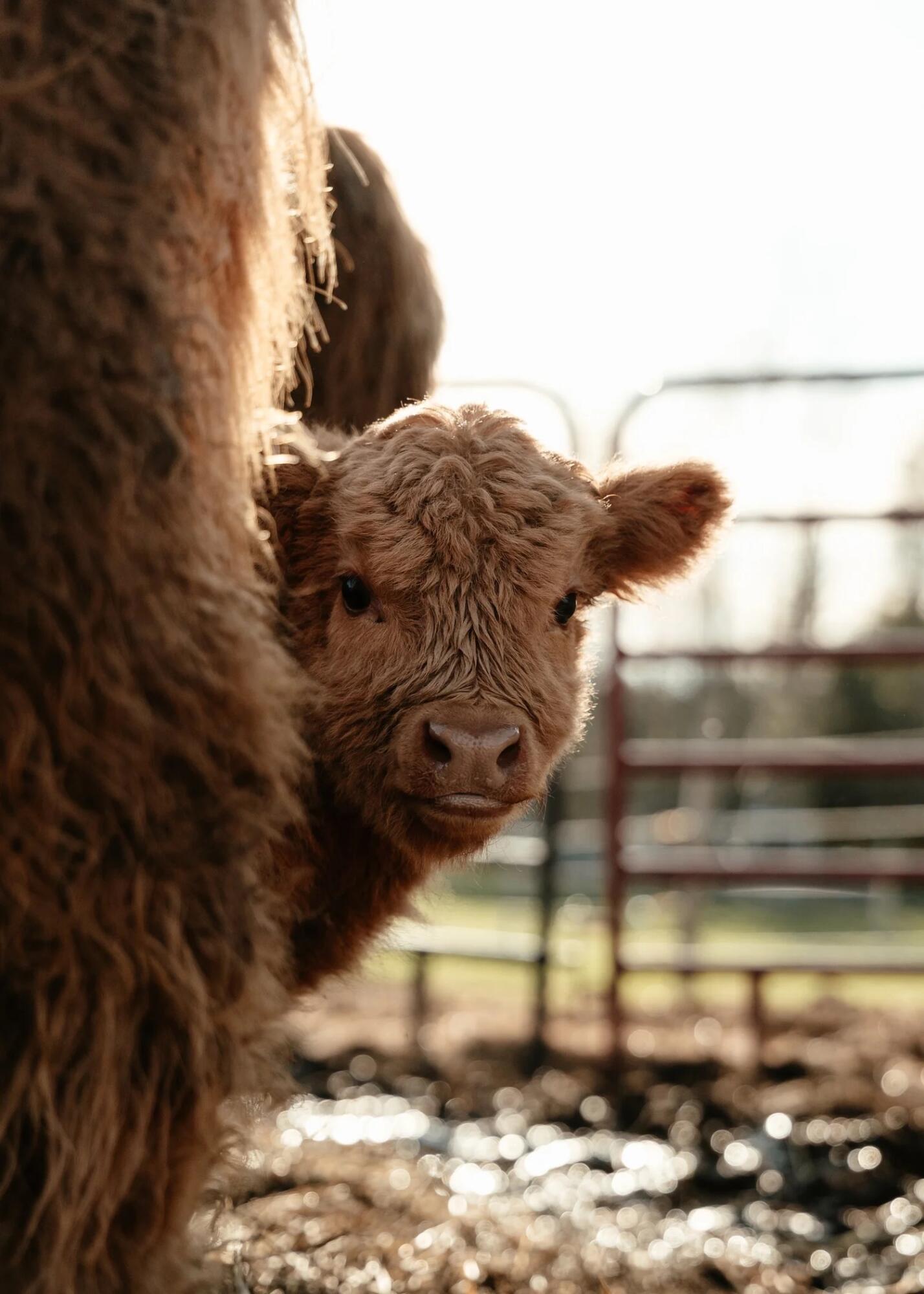 68 Pullen Road, Dexter, ME, 04930