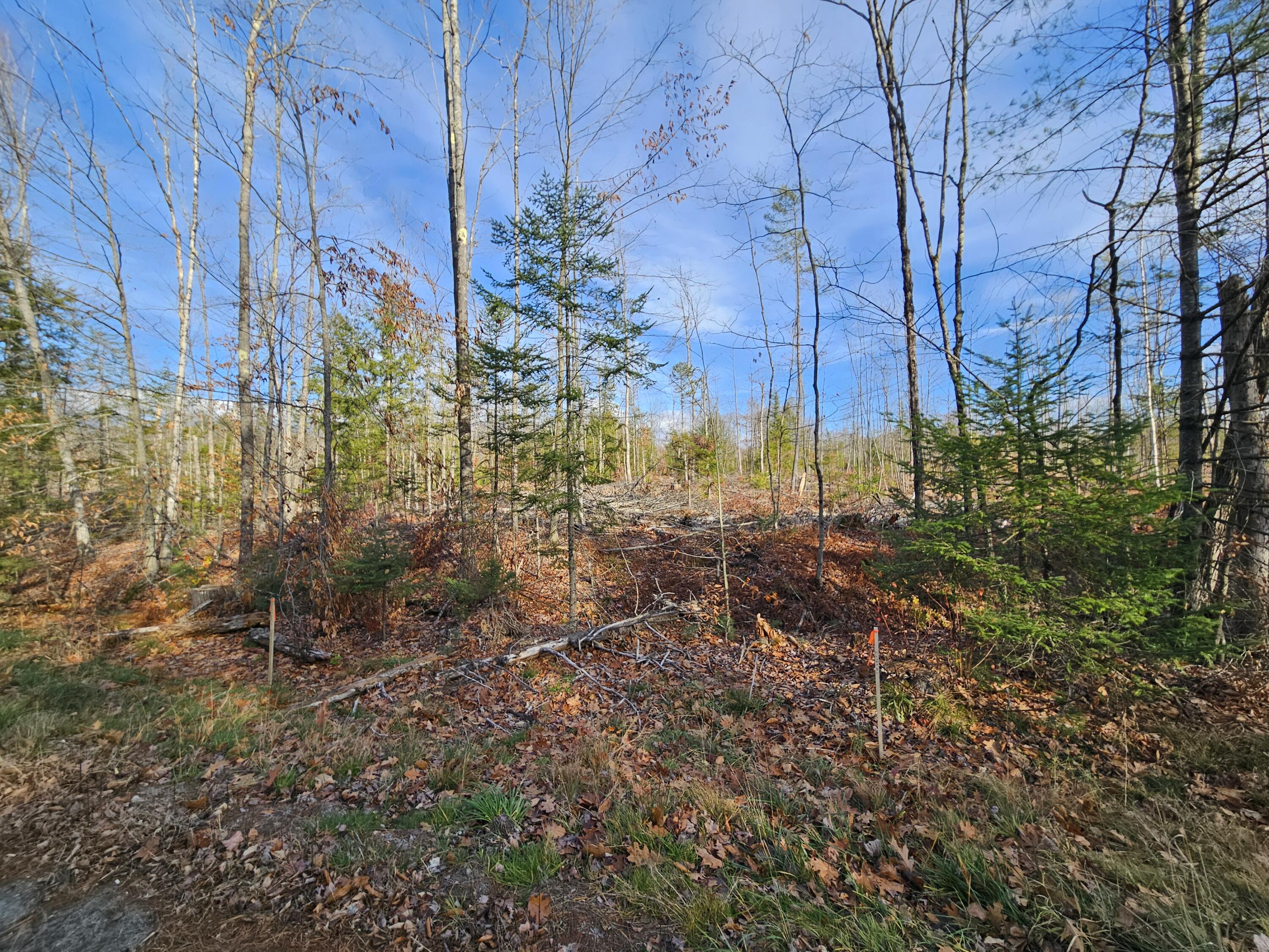 M-3 L-33-5 Cape Cod Hill Road, New Sharon, ME, 04955