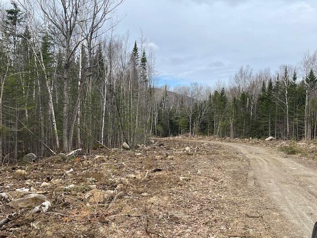 Lot 117 Big Snow Way, Rangeley, ME, 04970