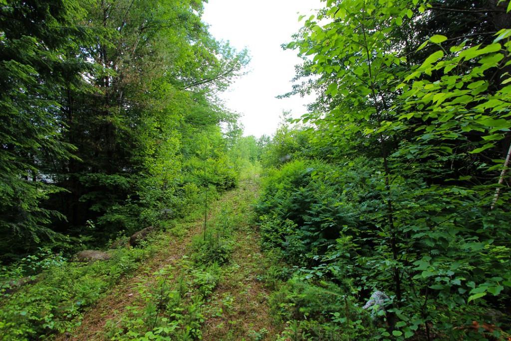 00 Cross Street, Greenwood, ME, 04255