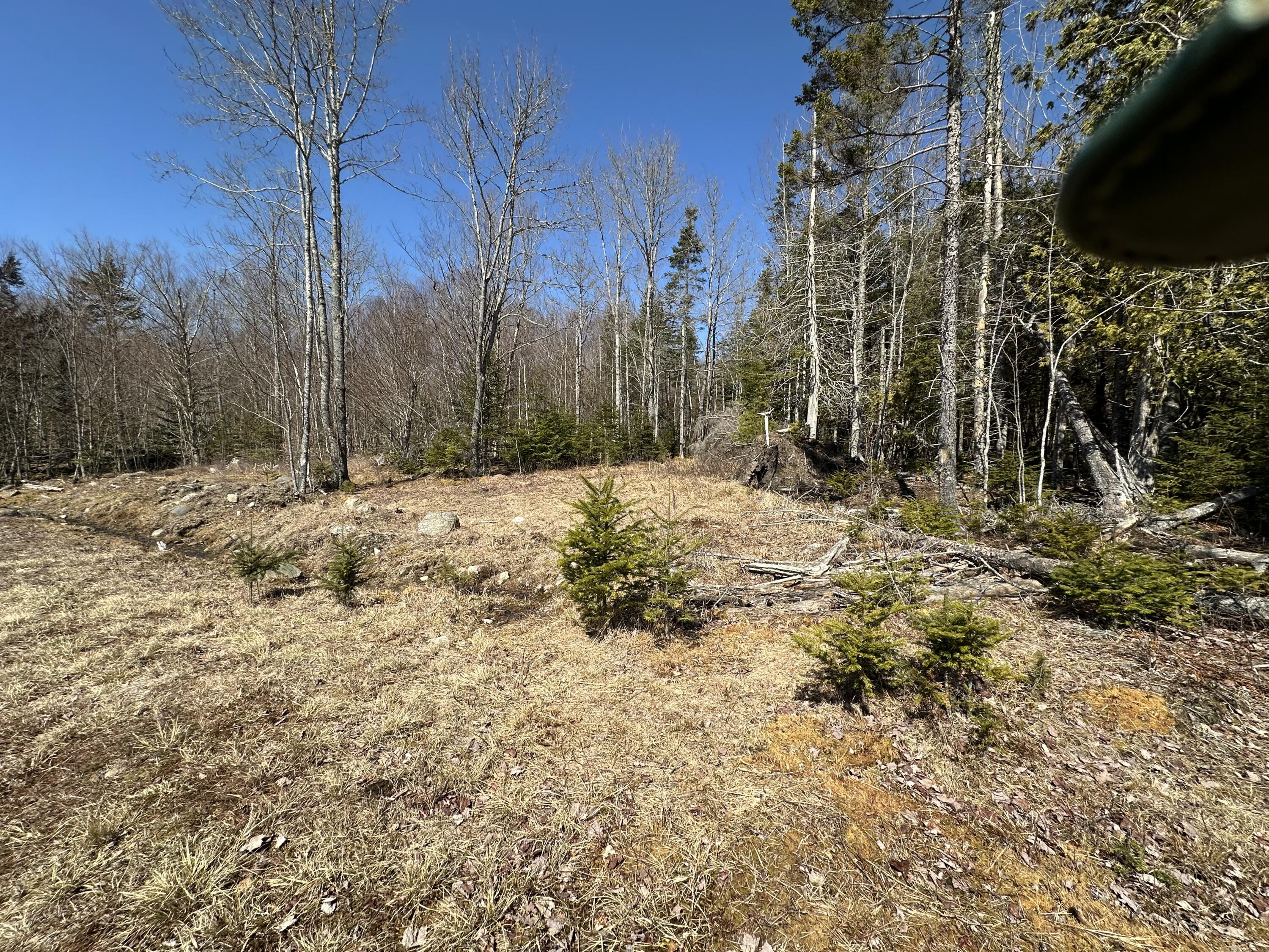Lot UNIT&nbsp;0 Morgan Bay Road, Surry, ME, 04684