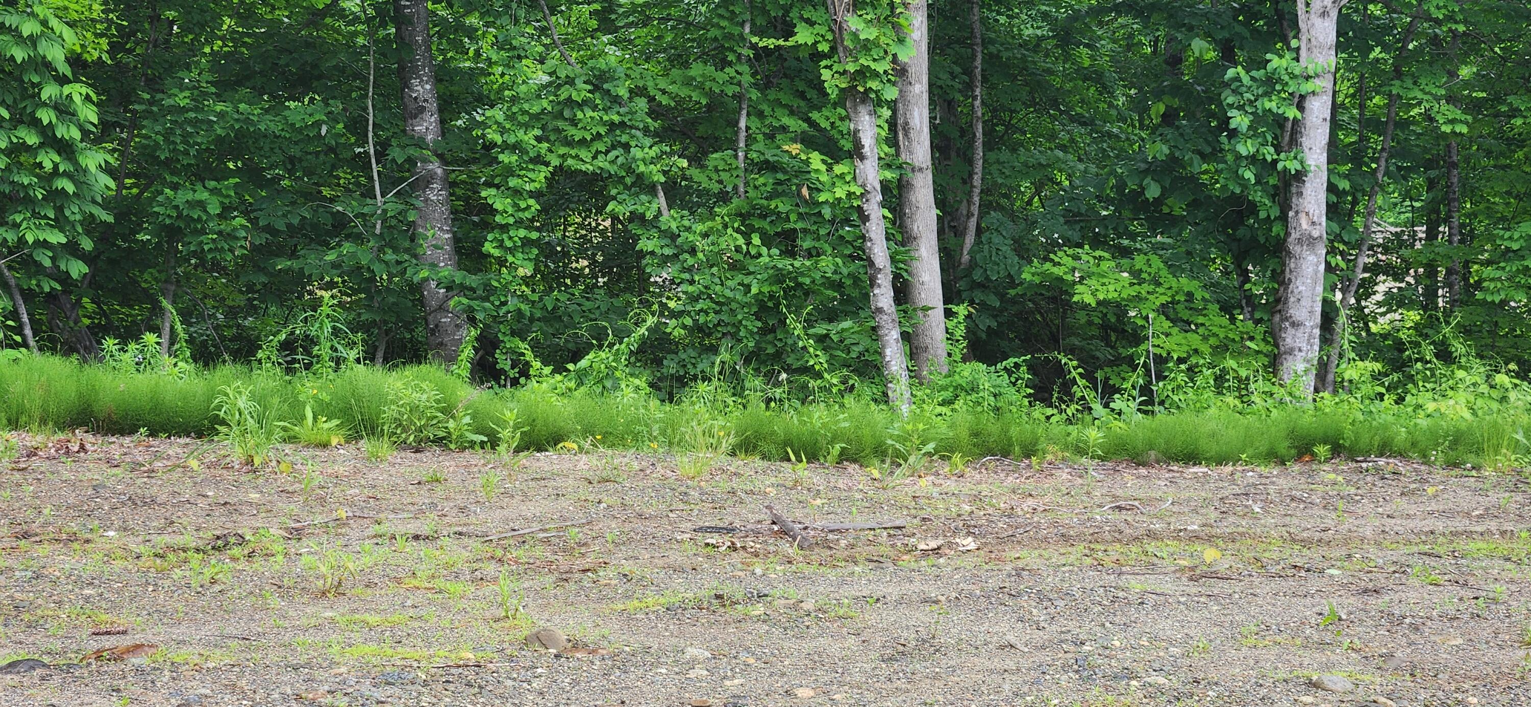 TBD Marks Mountain Way, Dedham, ME, 04429