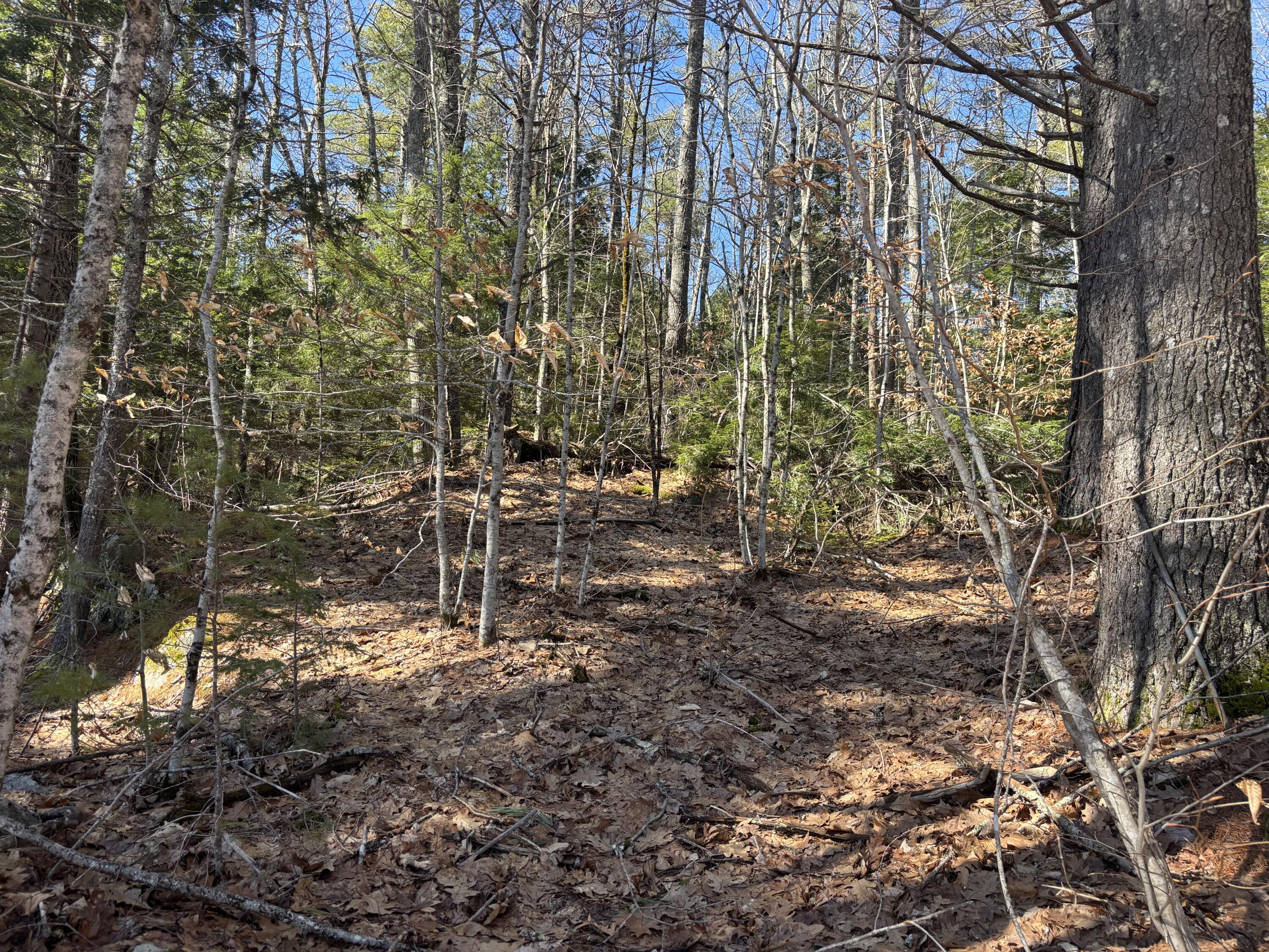 Lot 113-2 Cushman Road, Winslow, ME, 04901