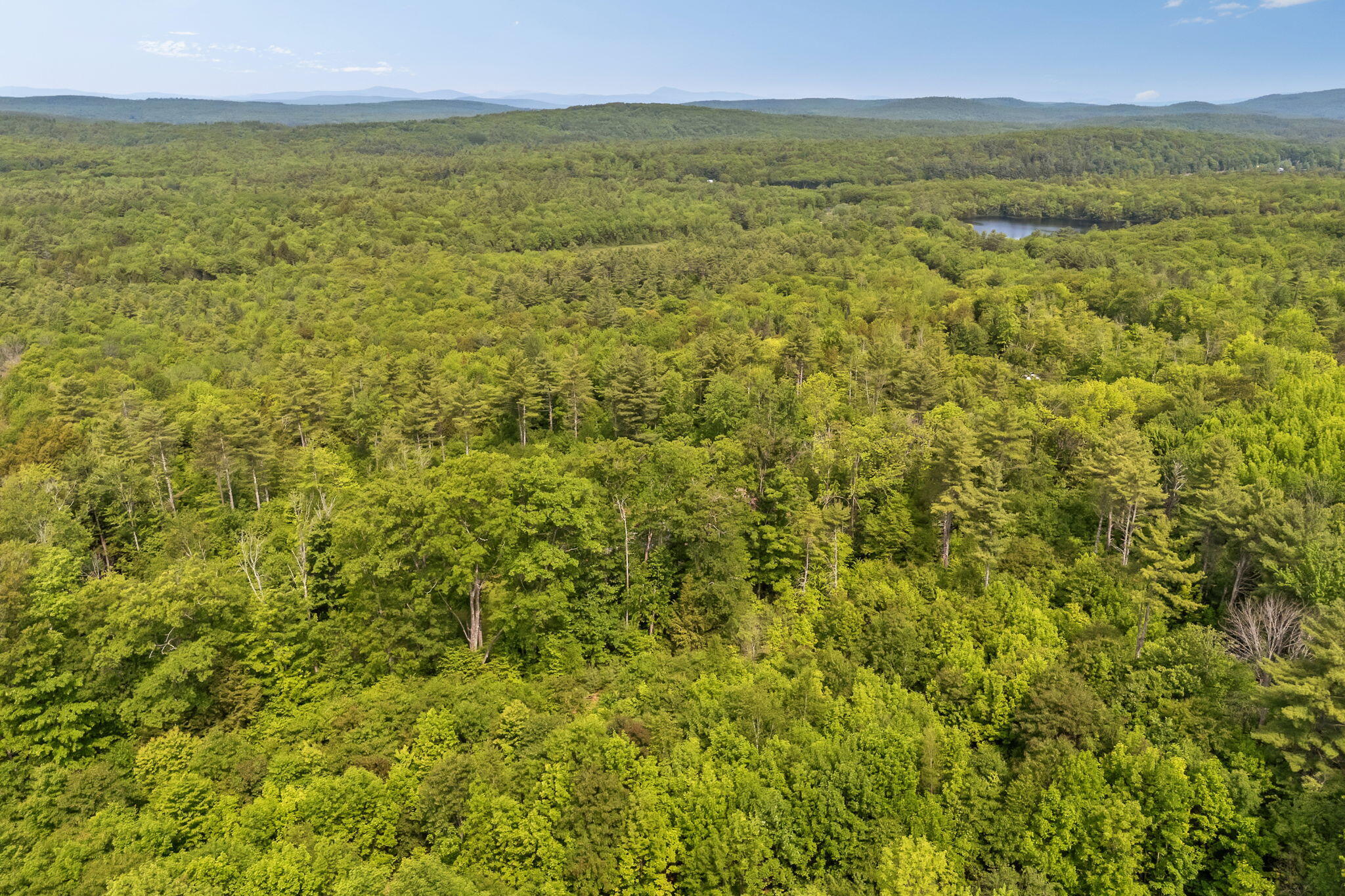 72-web-or-mls-15-raspberry-rd