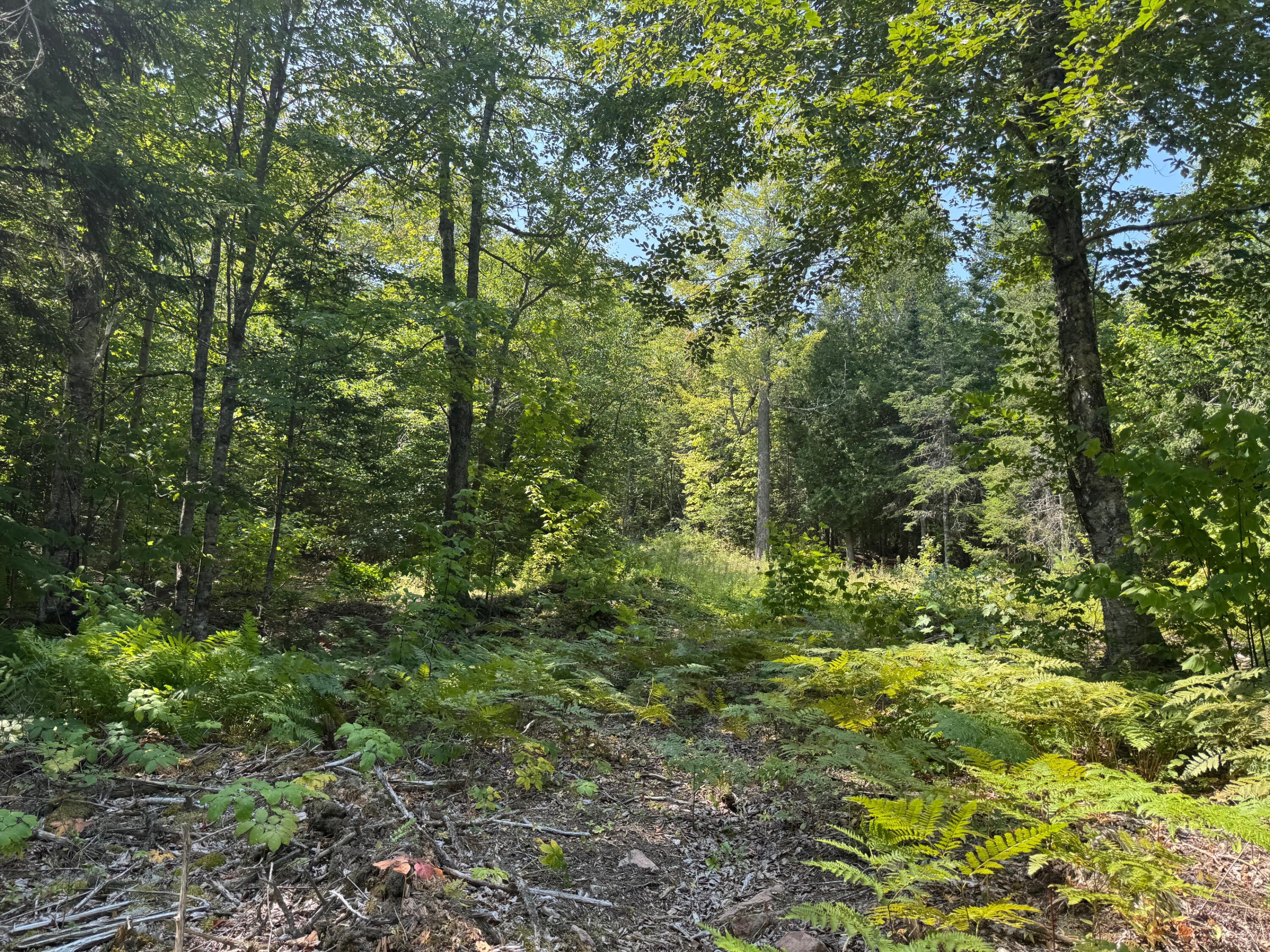 3 Steam Mill Road, Robbinston, ME, 04671