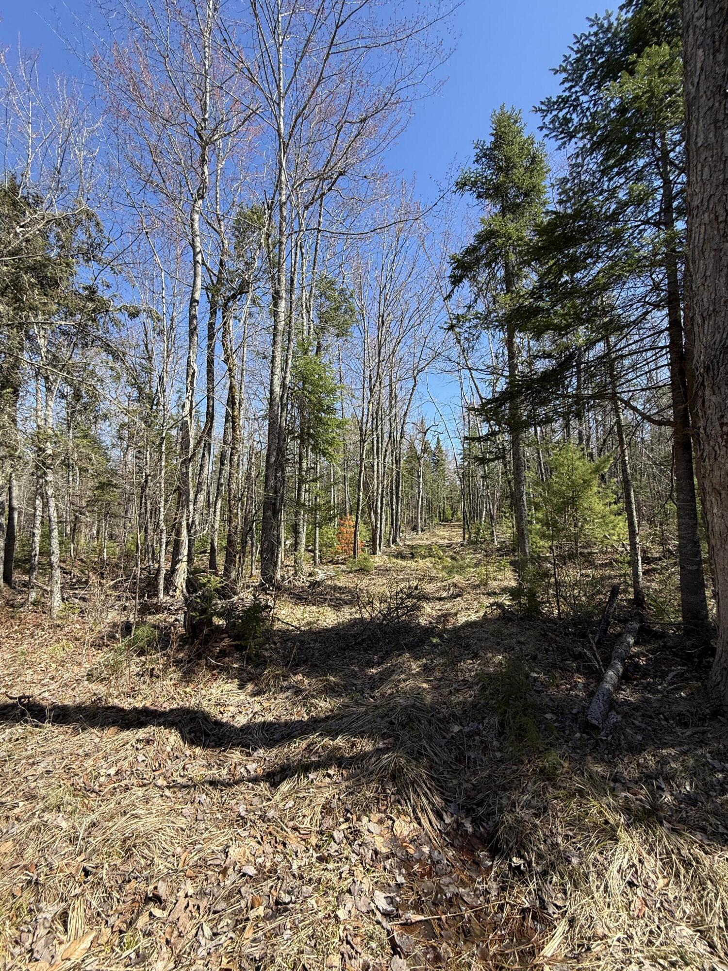 Lot 016-01 142 Old Fisher Rd Road, Holden, ME, 04429