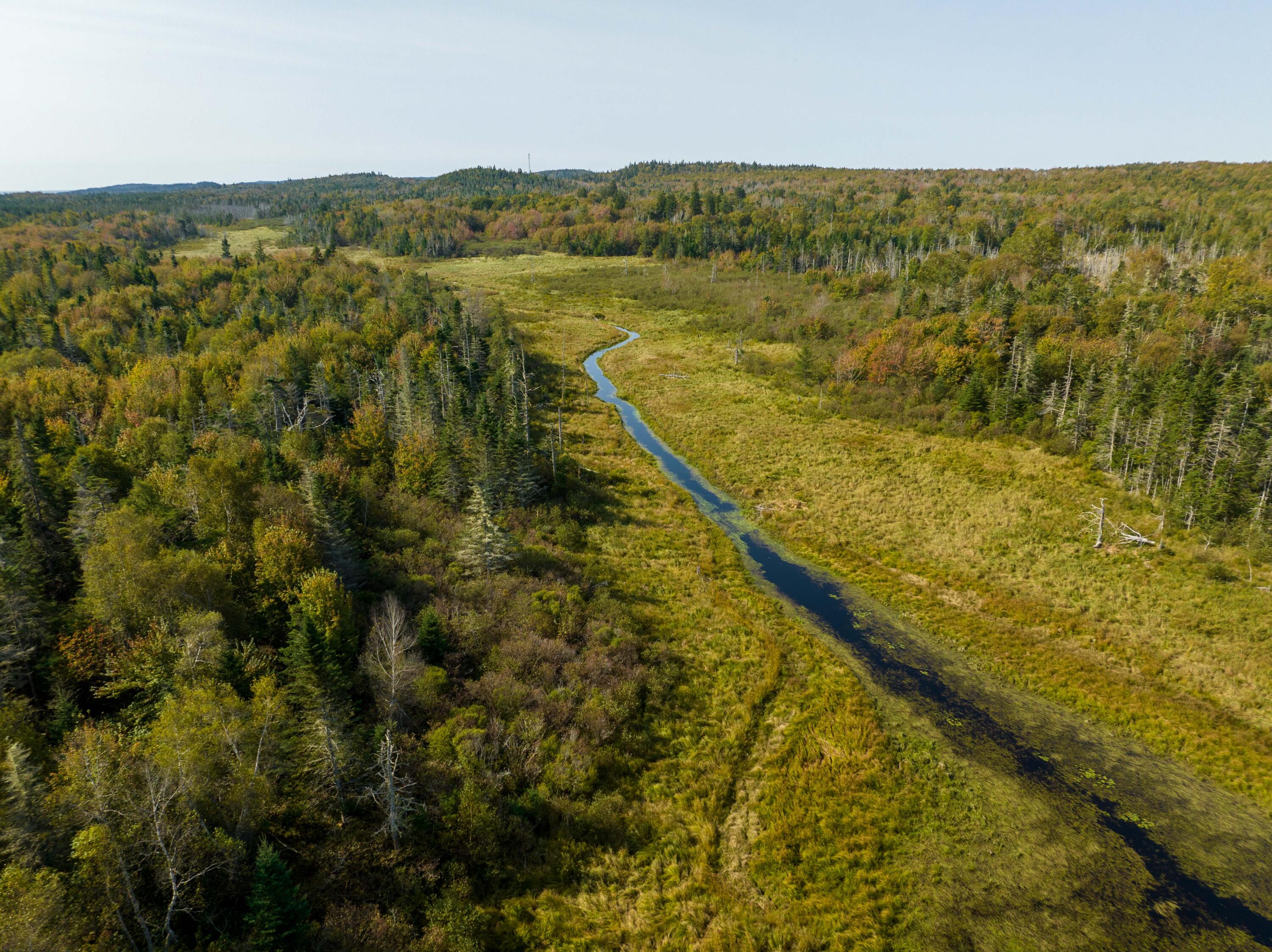 117 Denbow Road, Lubec, ME, 04652