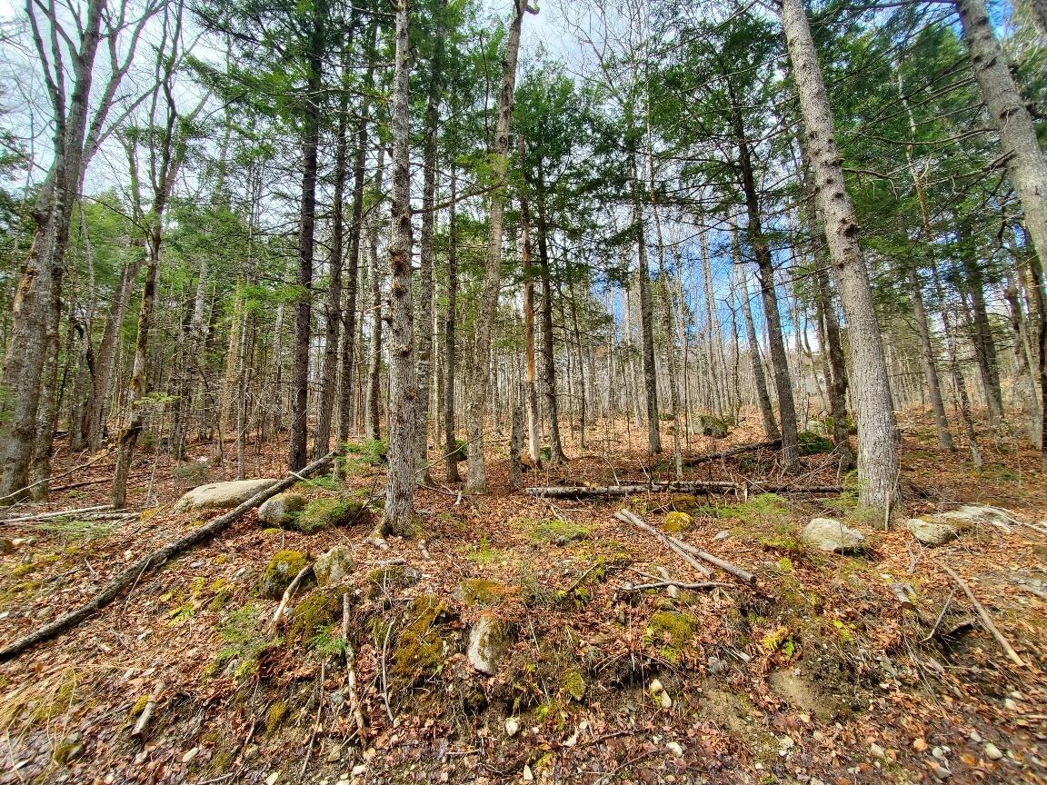 0 Sandy Beach Road, Danforth, ME, 04424