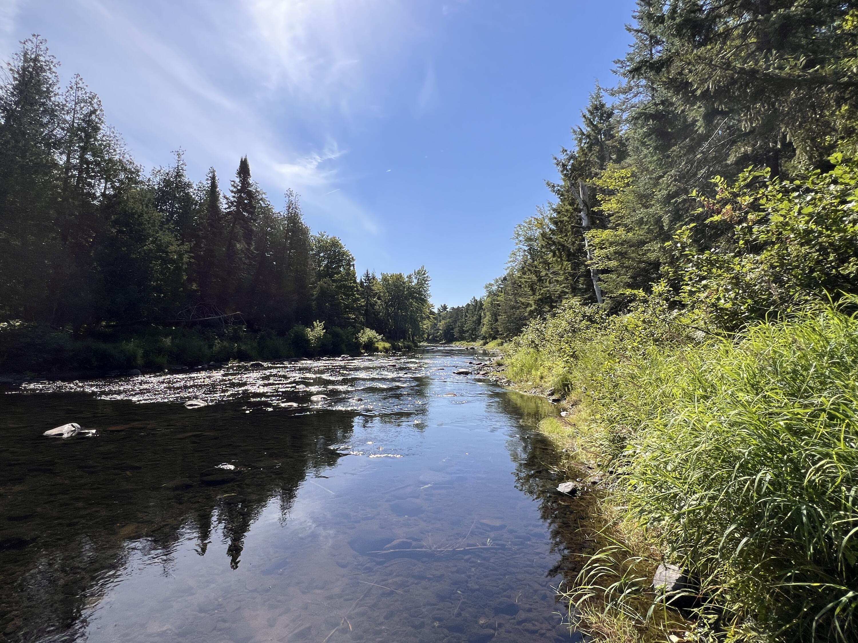 lot 6 & 8 Franklin Realty Road, Haynesville, ME 04497 East Branch of the Mattawamkeag