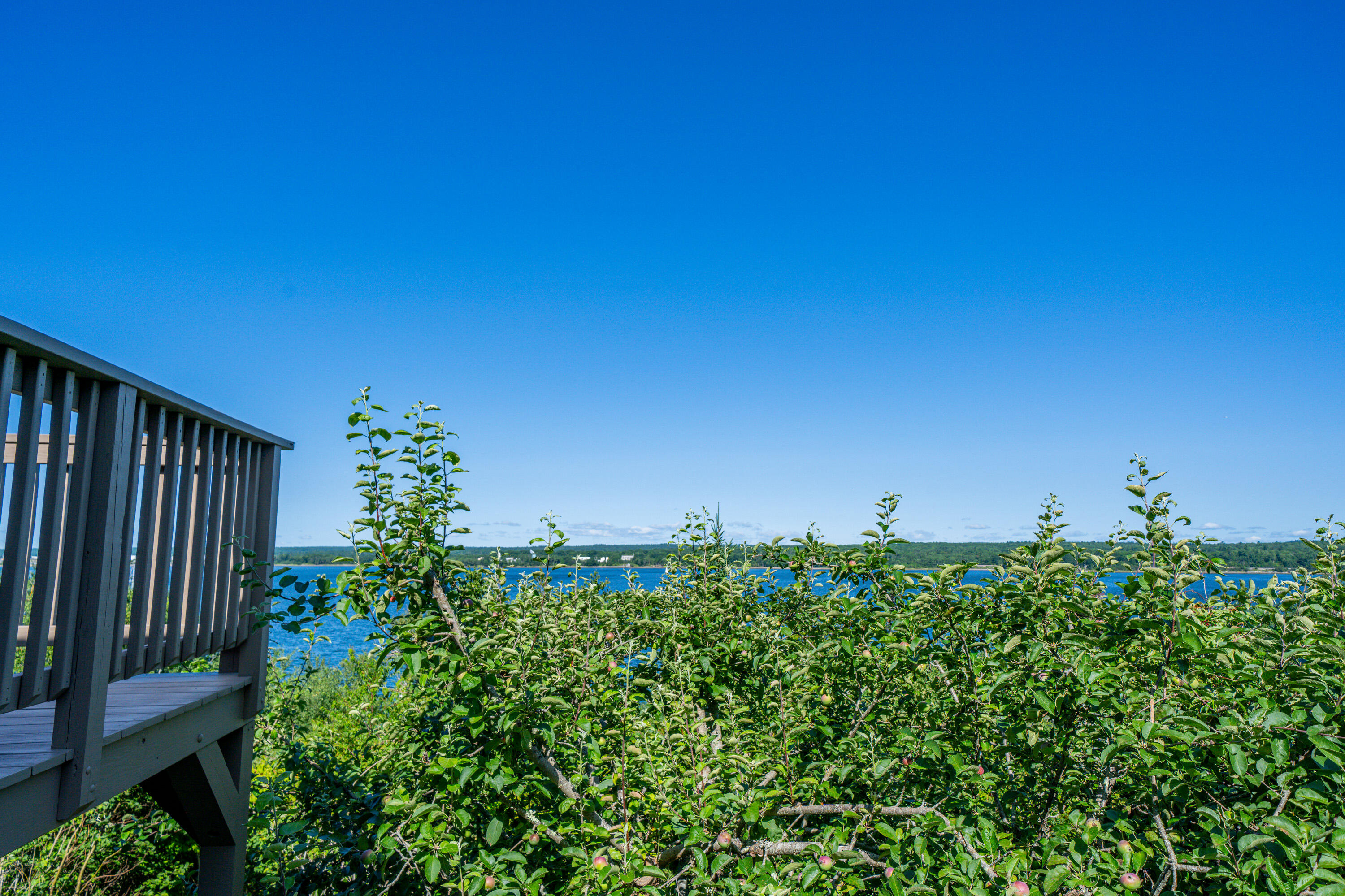 12 Harbor View Drive, #12, Stockton Springs, ME 04981 4631