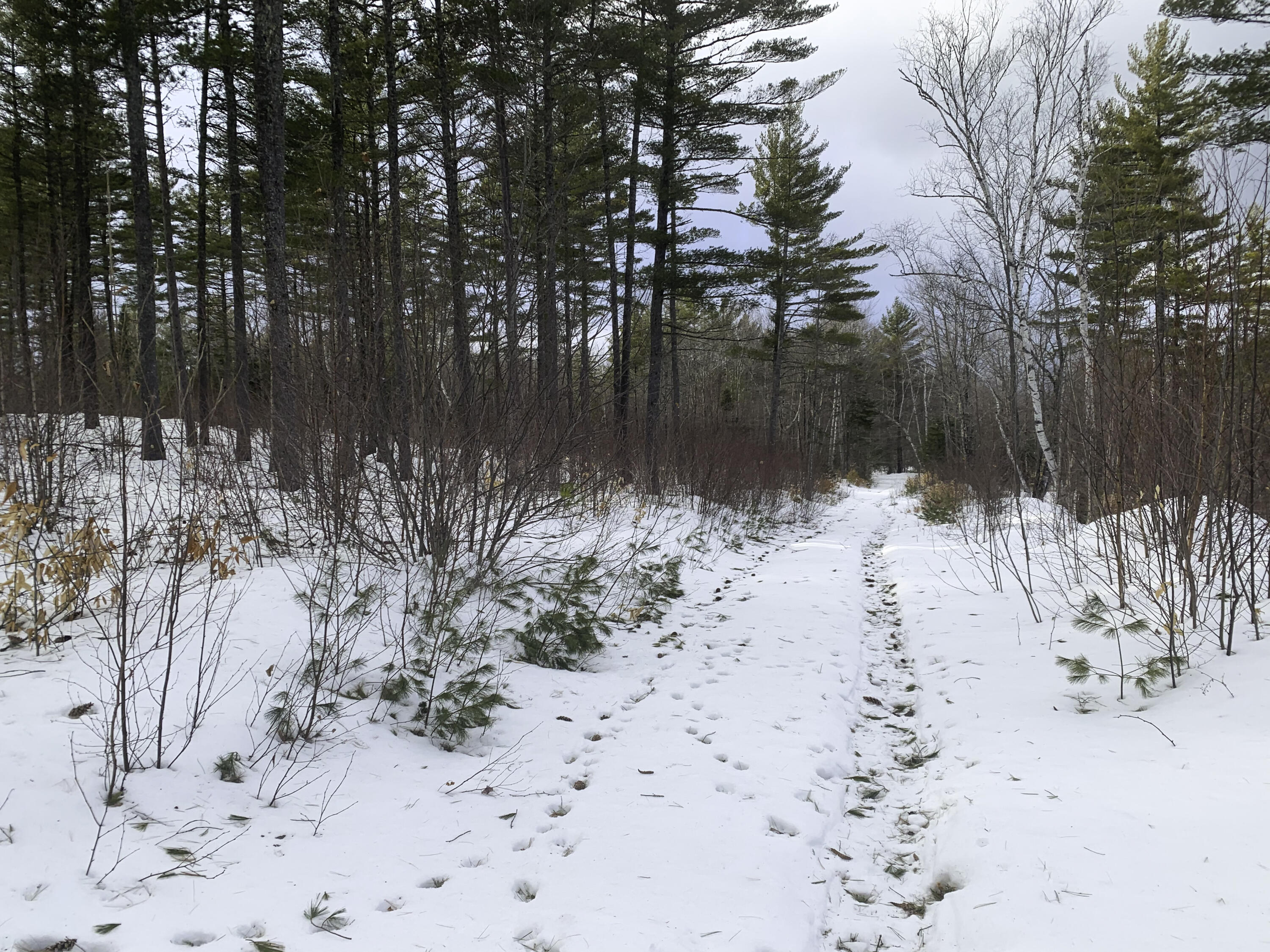 Lot 1 Lyman Wheeler Road, Bethel, ME, 04217