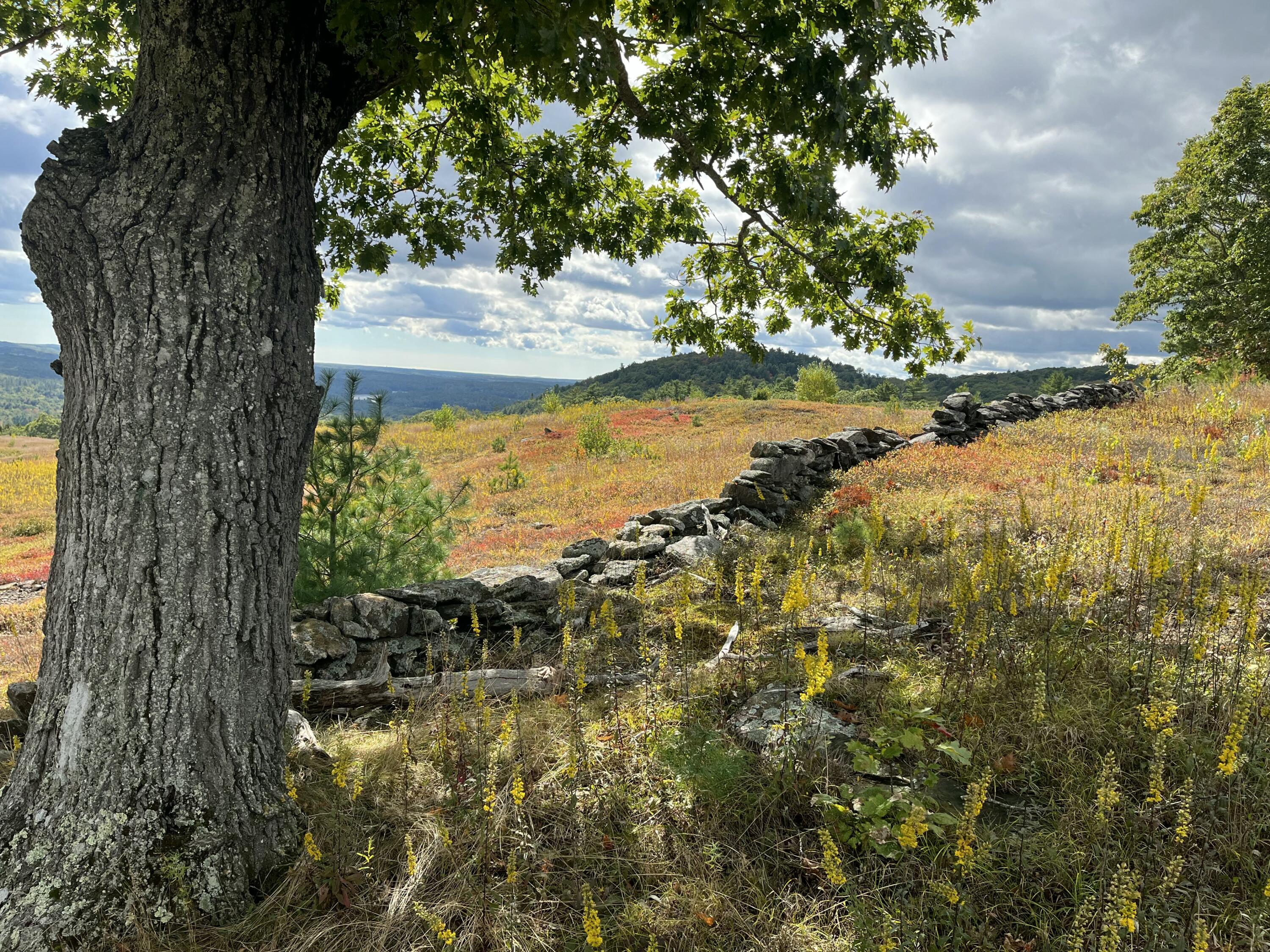 0 Kingdom Road, Blue Hill, ME, 04614